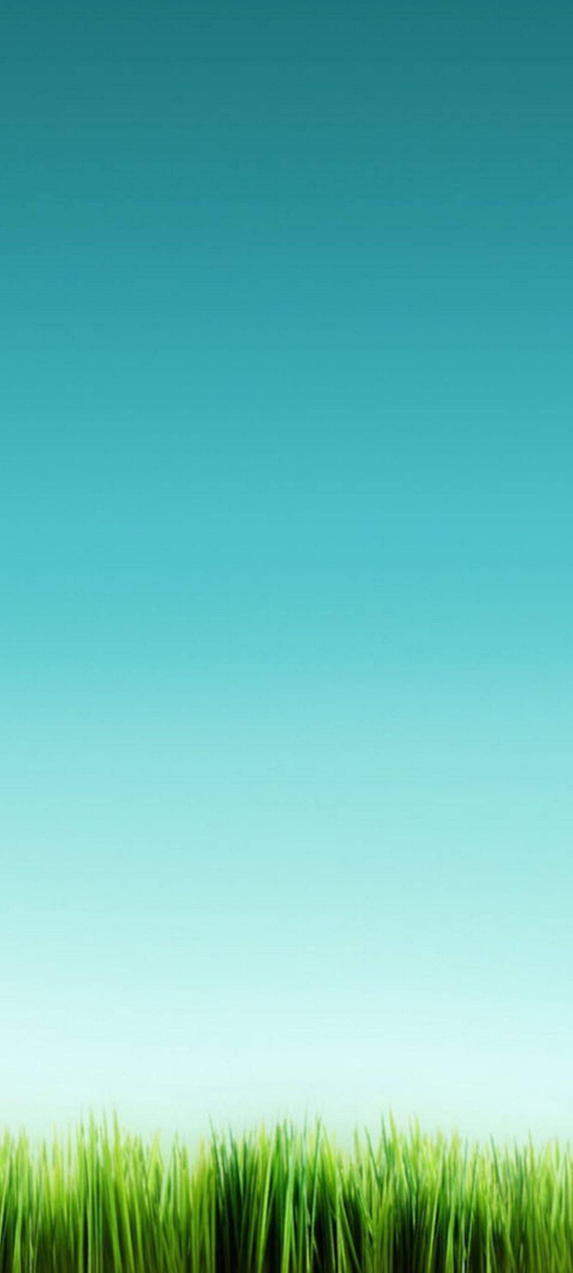 OnePlus 8 Pro İçin Sakin Gökyüzü Manzarası Duvar Kağıdı