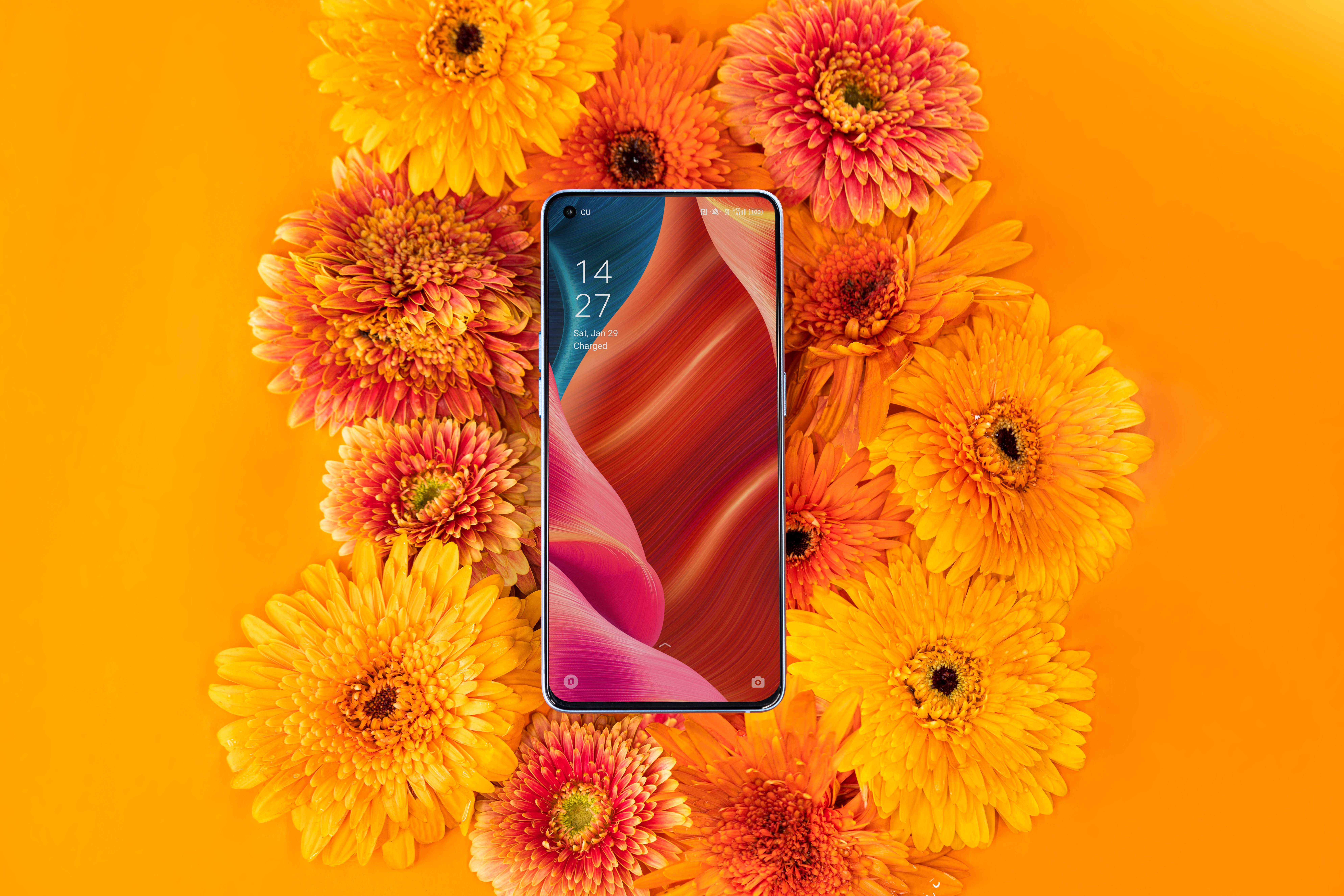 Oppo Akıllı Telefon ve Gelişen Çiçekler Duvar Kağıdı