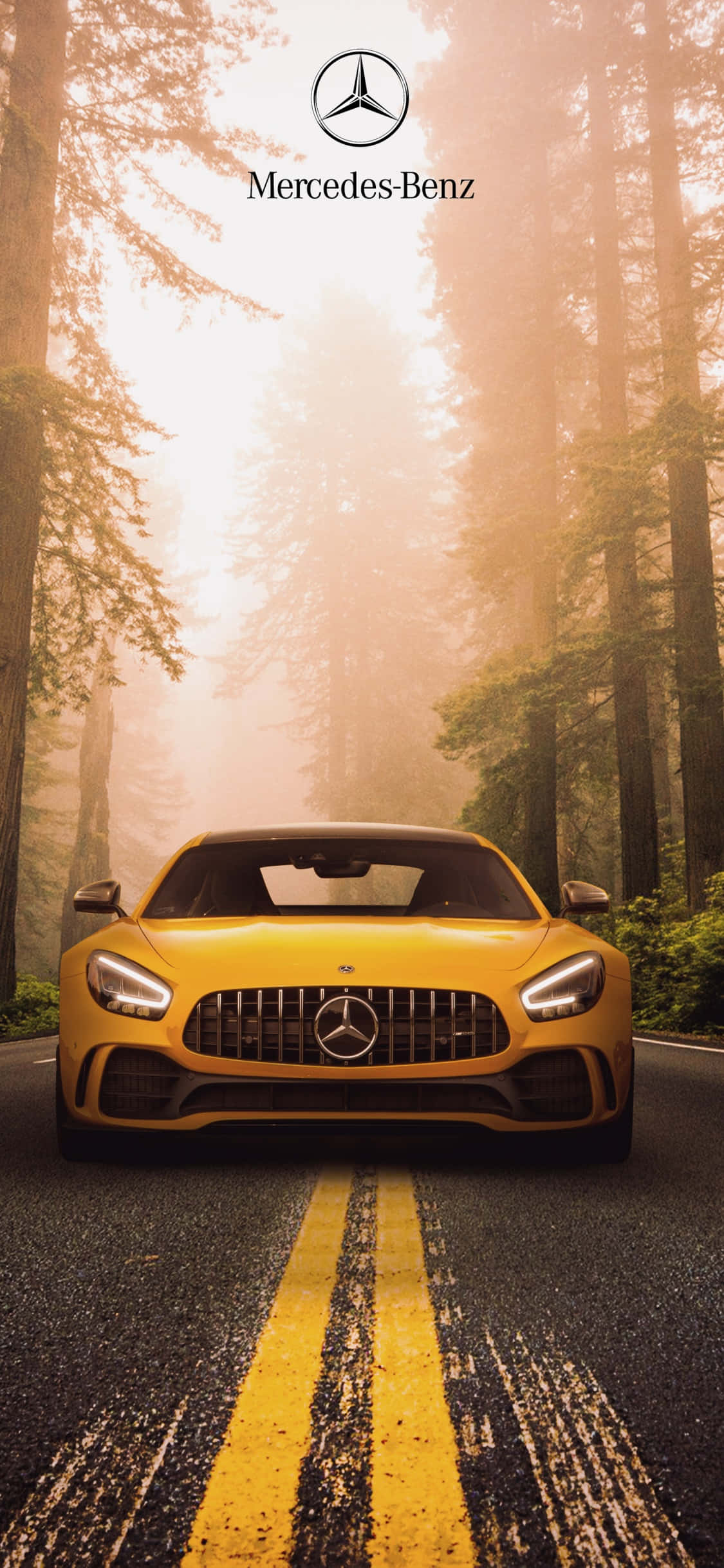 Ormanda Sarı iPhone Xs Mercedes Amg Arkaplan Duvar Kağıdı