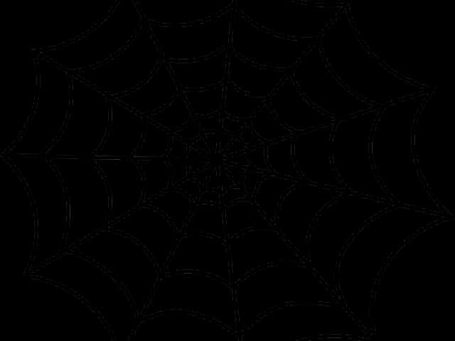 Örümcek Ağı Deseni Grafik Duvar Kağıdı