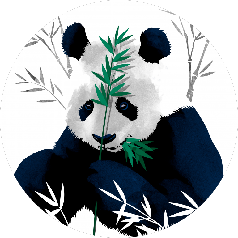 Panda Bambu Yiyen Vektör Sanatı Duvar Kağıdı