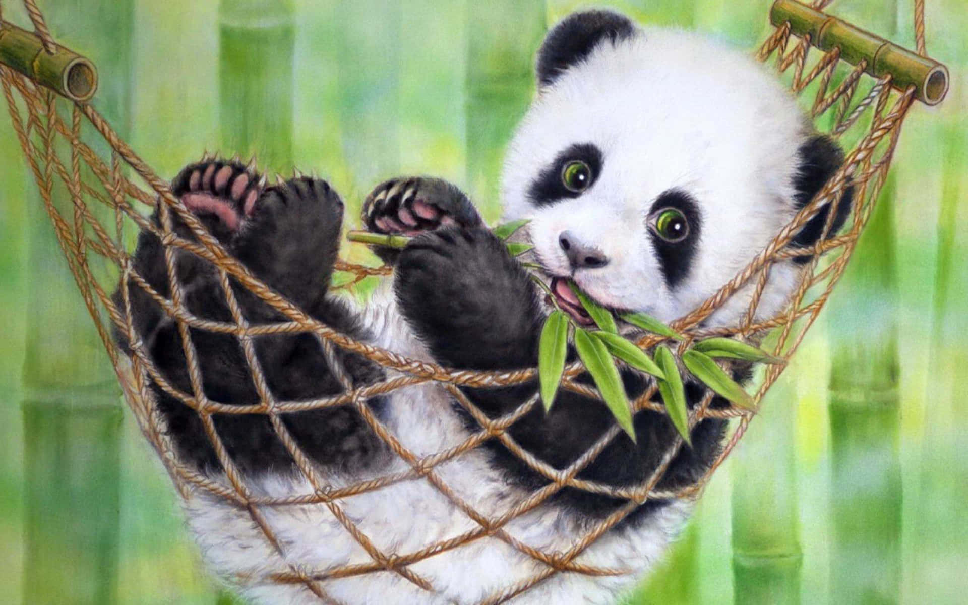 Panda Dizüstü Bilgisayar