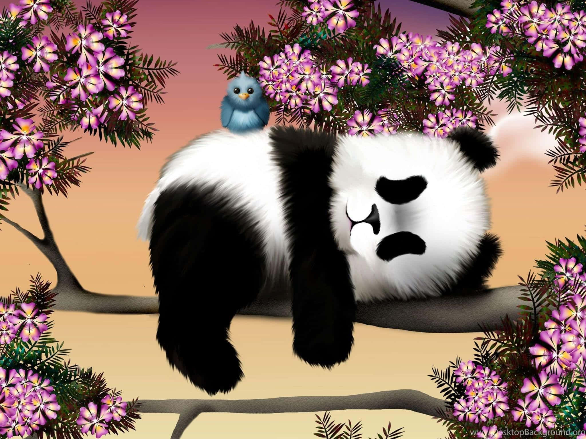 Panda Dizüstü Bilgisayarında Kuş Duvar Kağıdı