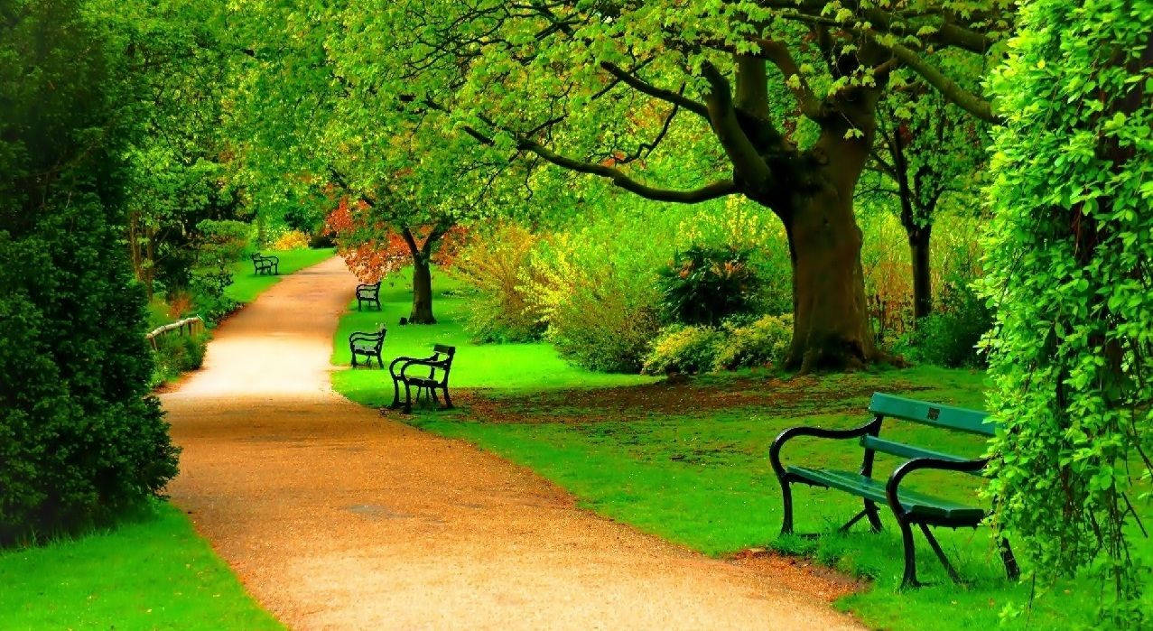 Park Yolu Tam Ekran HD Masaüstü Duvar Kağıdı