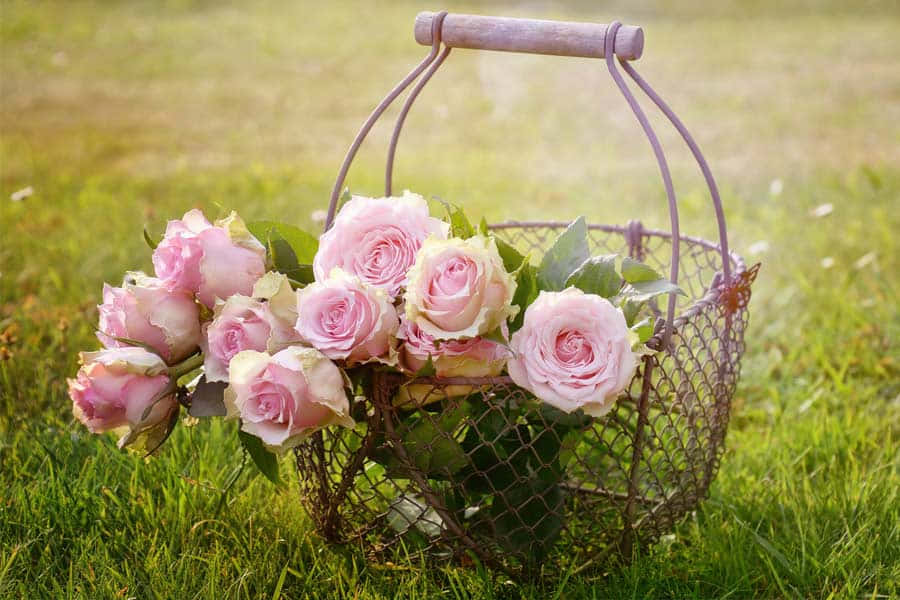 Parlak Işıltı Duvar Kağıdı