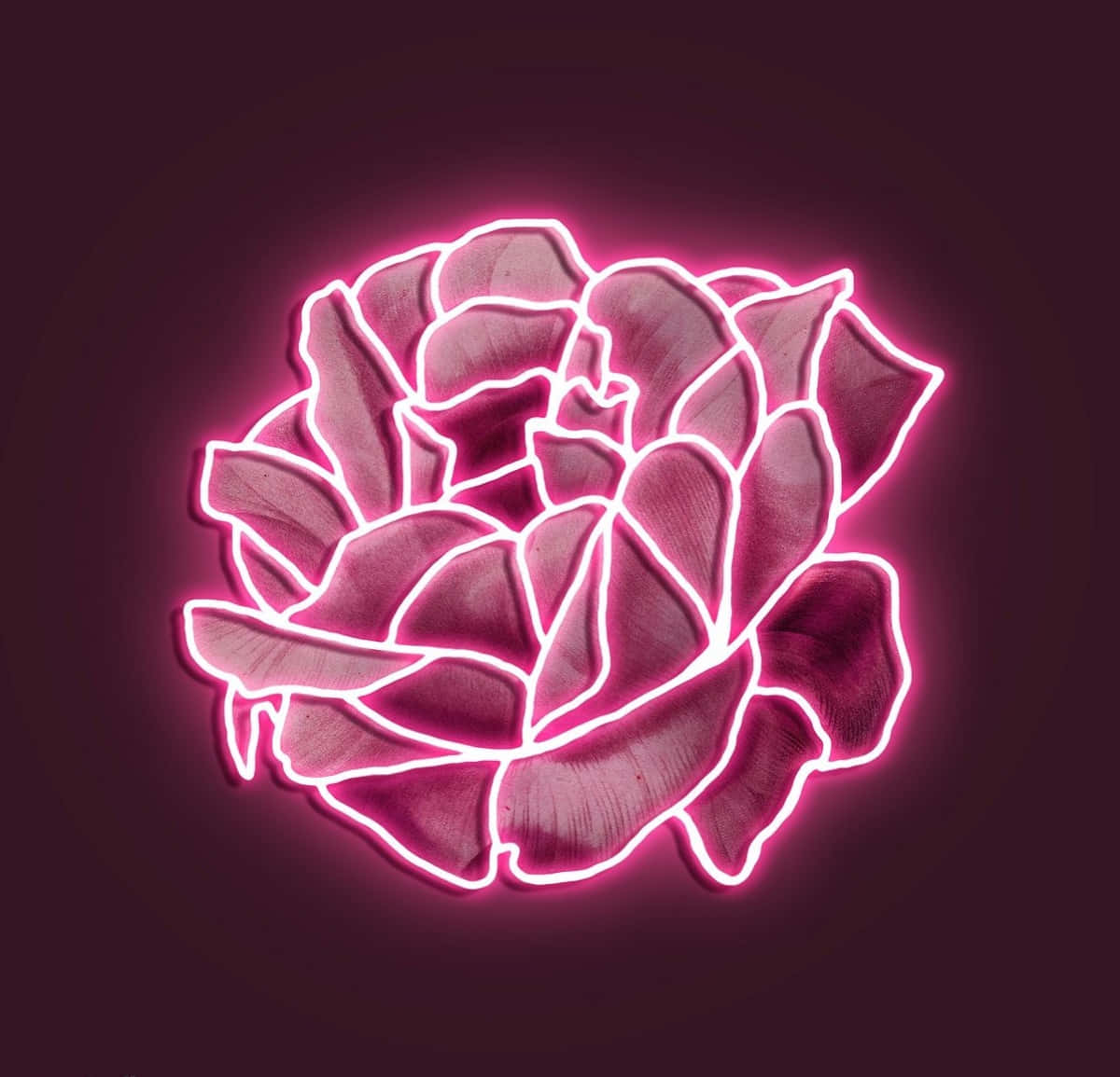 Parlak neon pembe enerjisinin tadını çıkarın💗 Duvar Kağıdı