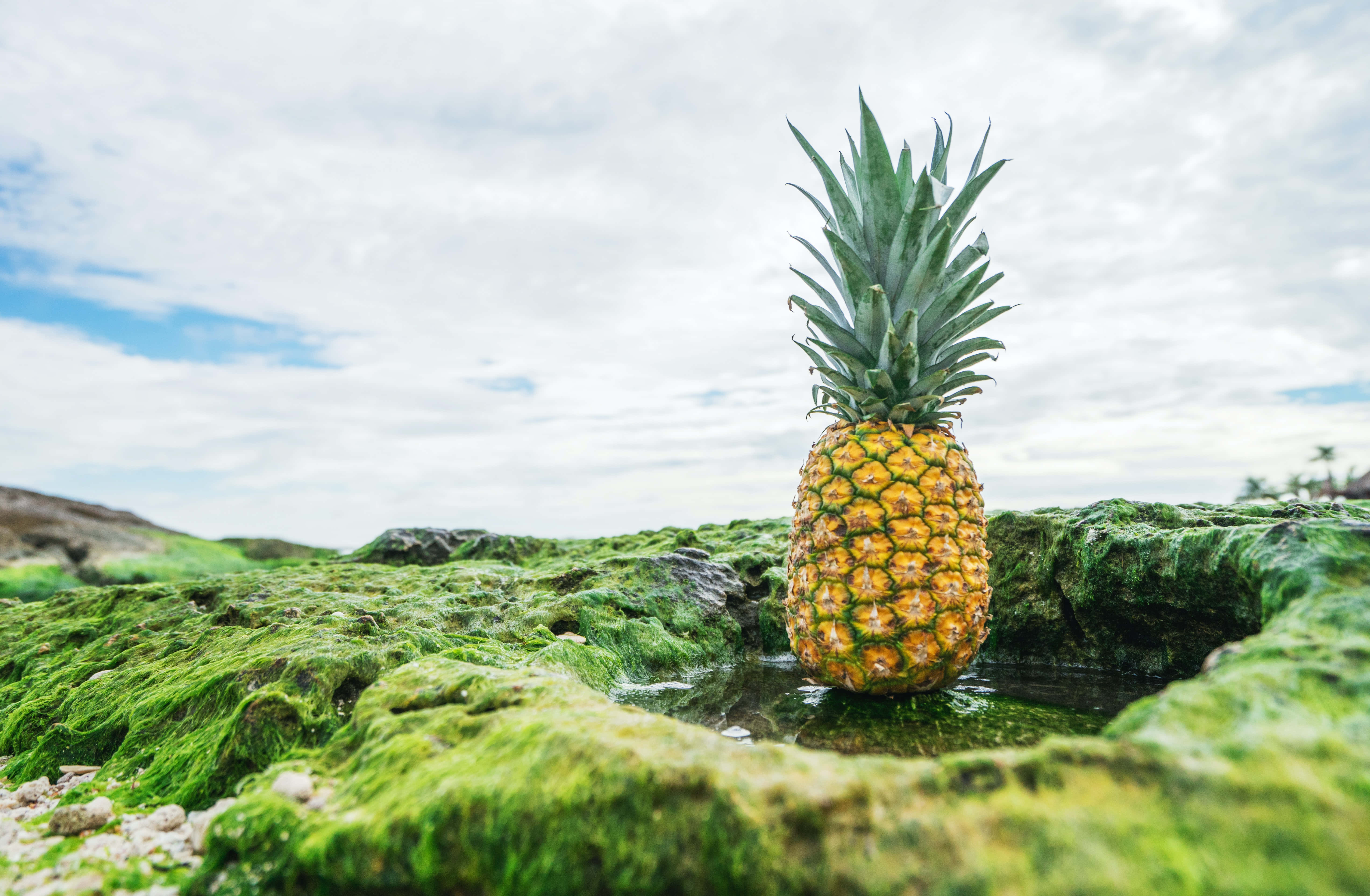 Parlak renkli ananas ve yaprakları pembe arka planda Duvar Kağıdı