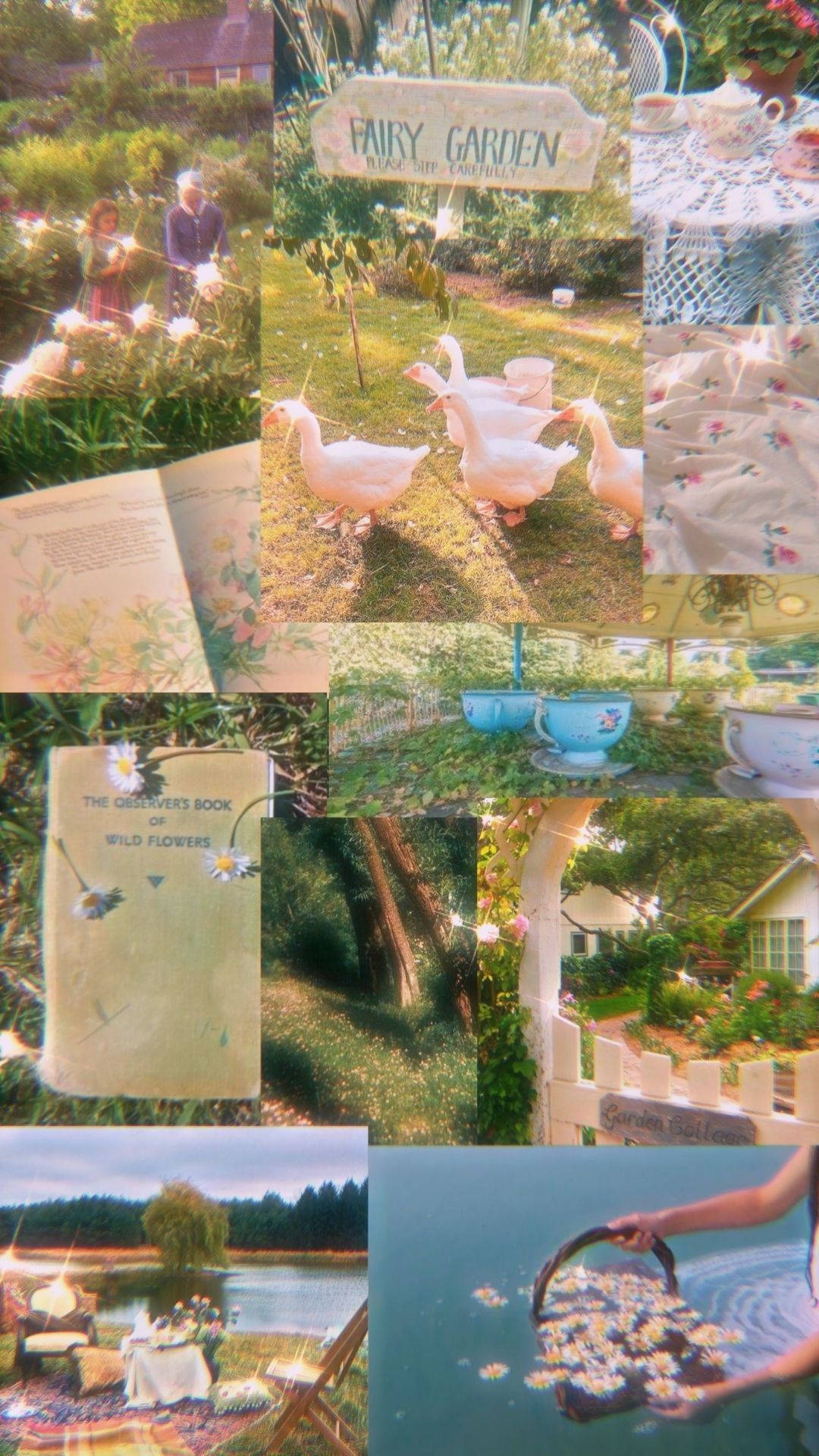 Parlayan Peri Estetiği Duvar Kağıdı