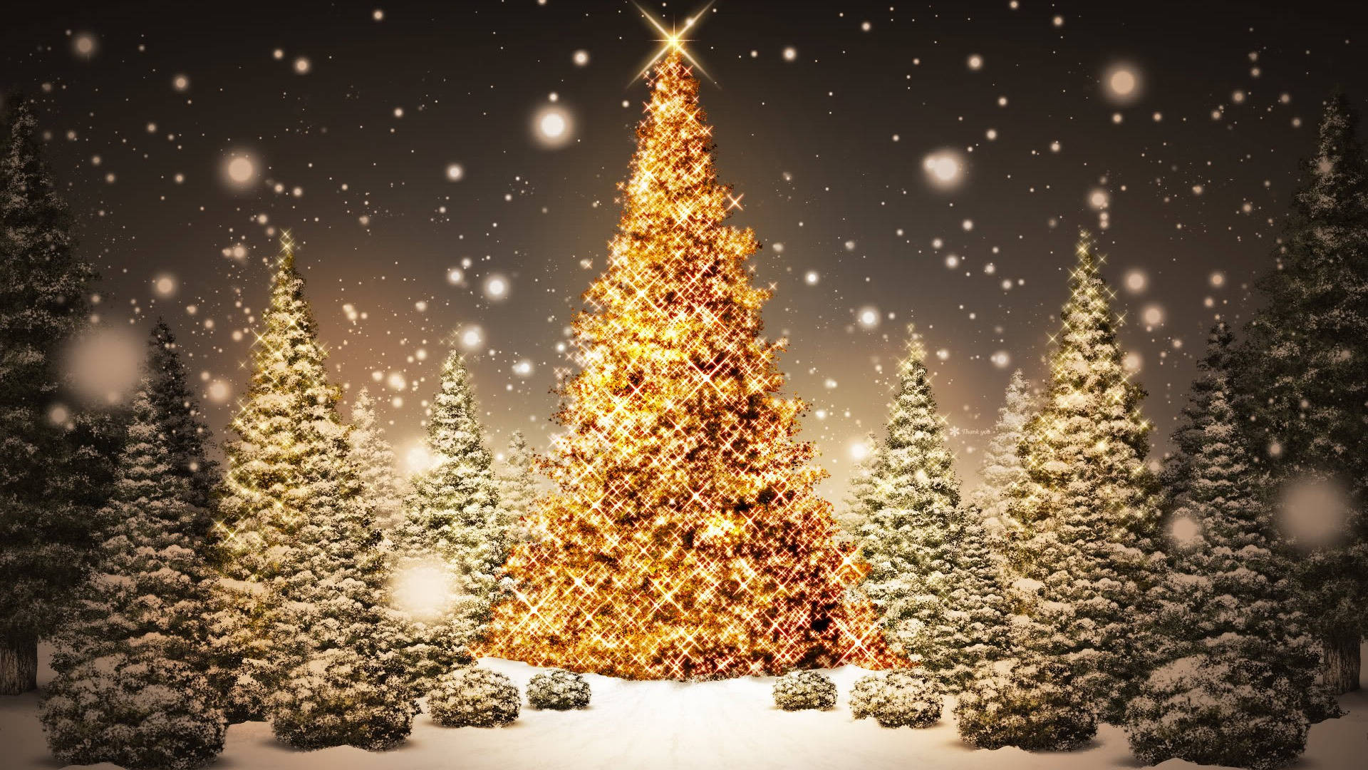 Parlayan ve Güzel Noel Ağaçları Duvar Kağıdı