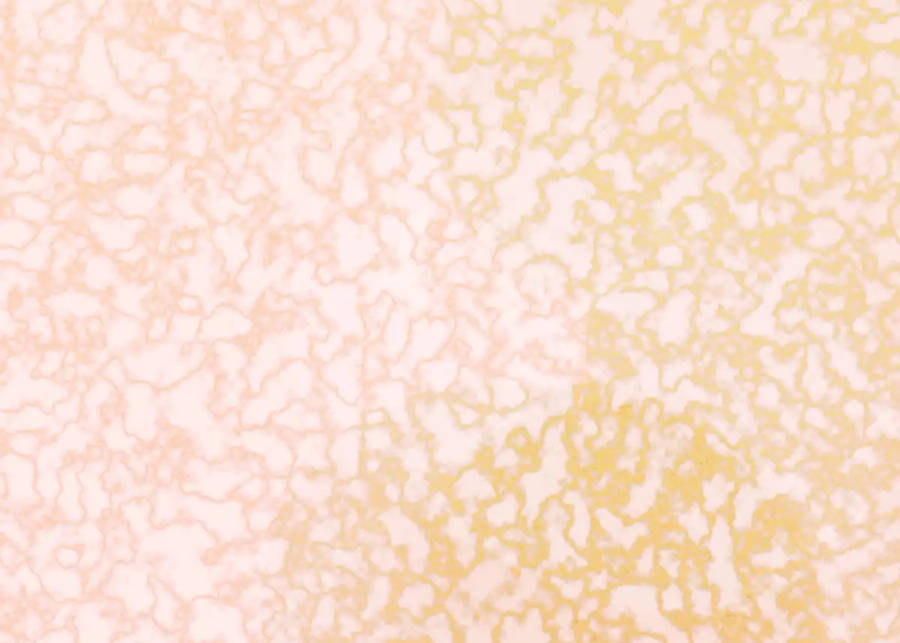 Pastel Mermer Sarı Lekeler Duvar Kağıdı