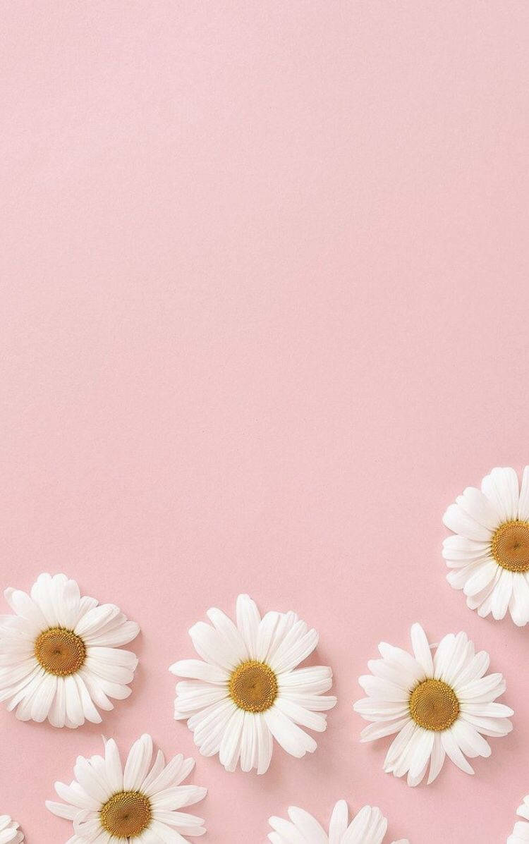 Pastel Pembe iPhone Çiçekleri Duvar Kağıdı