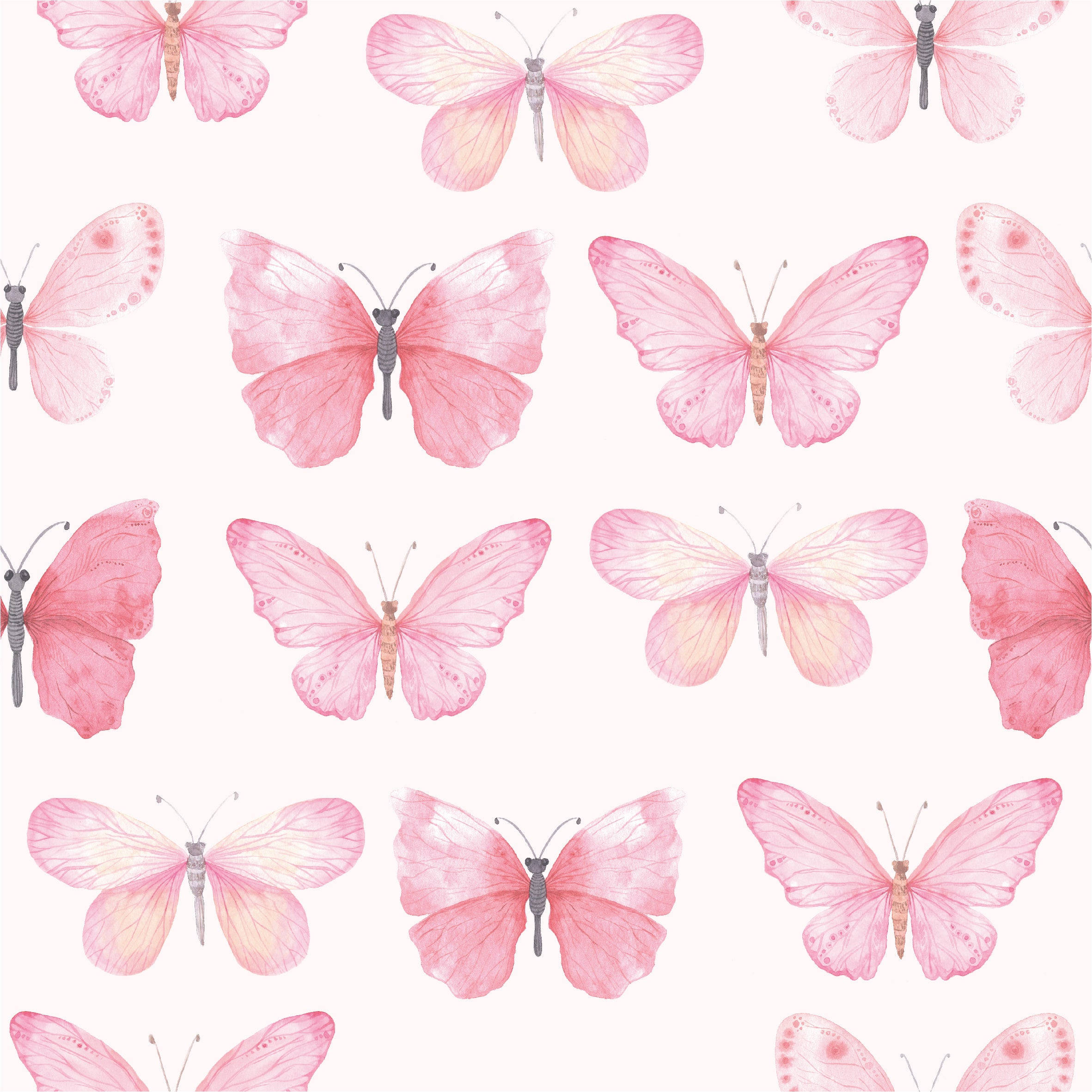 Pastel Pembe Tonlarında Kelebekler Duvar Kağıdı