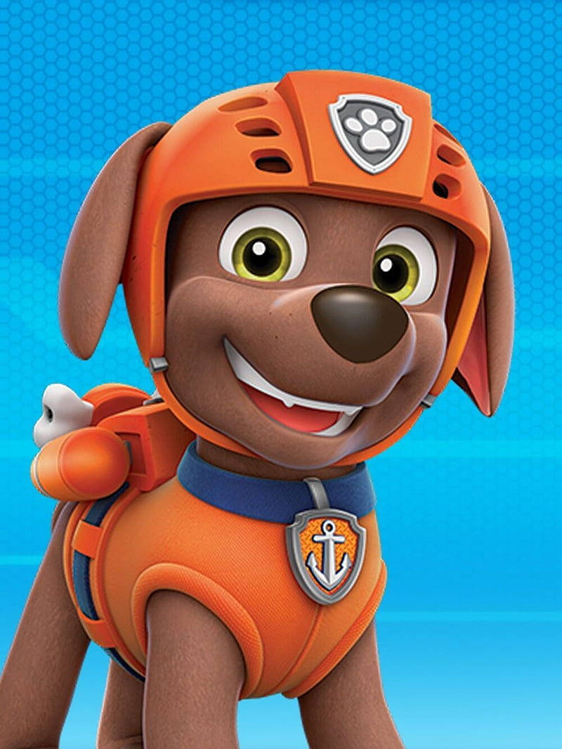 Paw Patrol Filmi Zuma Duvar Kağıdı