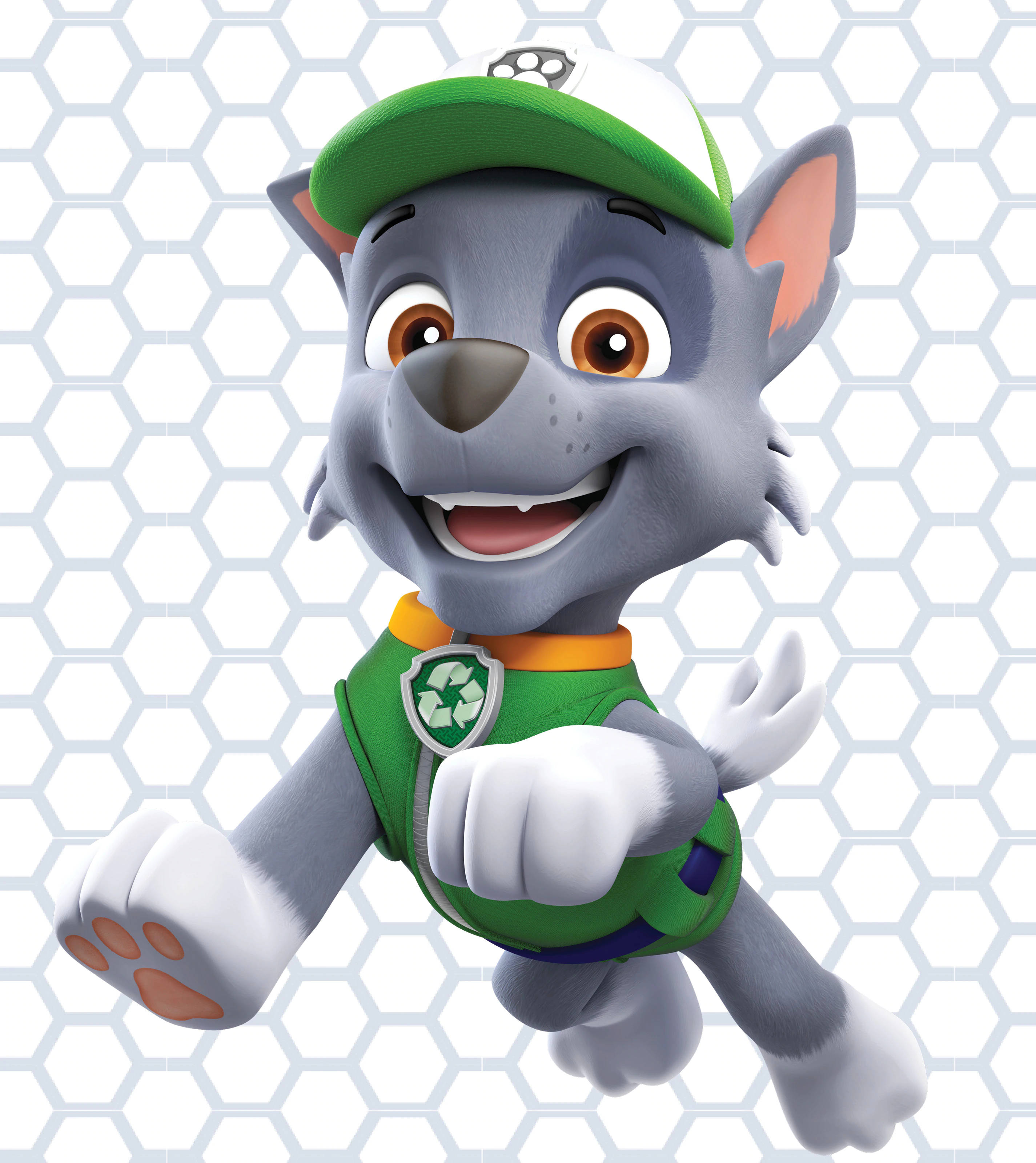 Paw Patrol Rocky Duvar Kağıdı