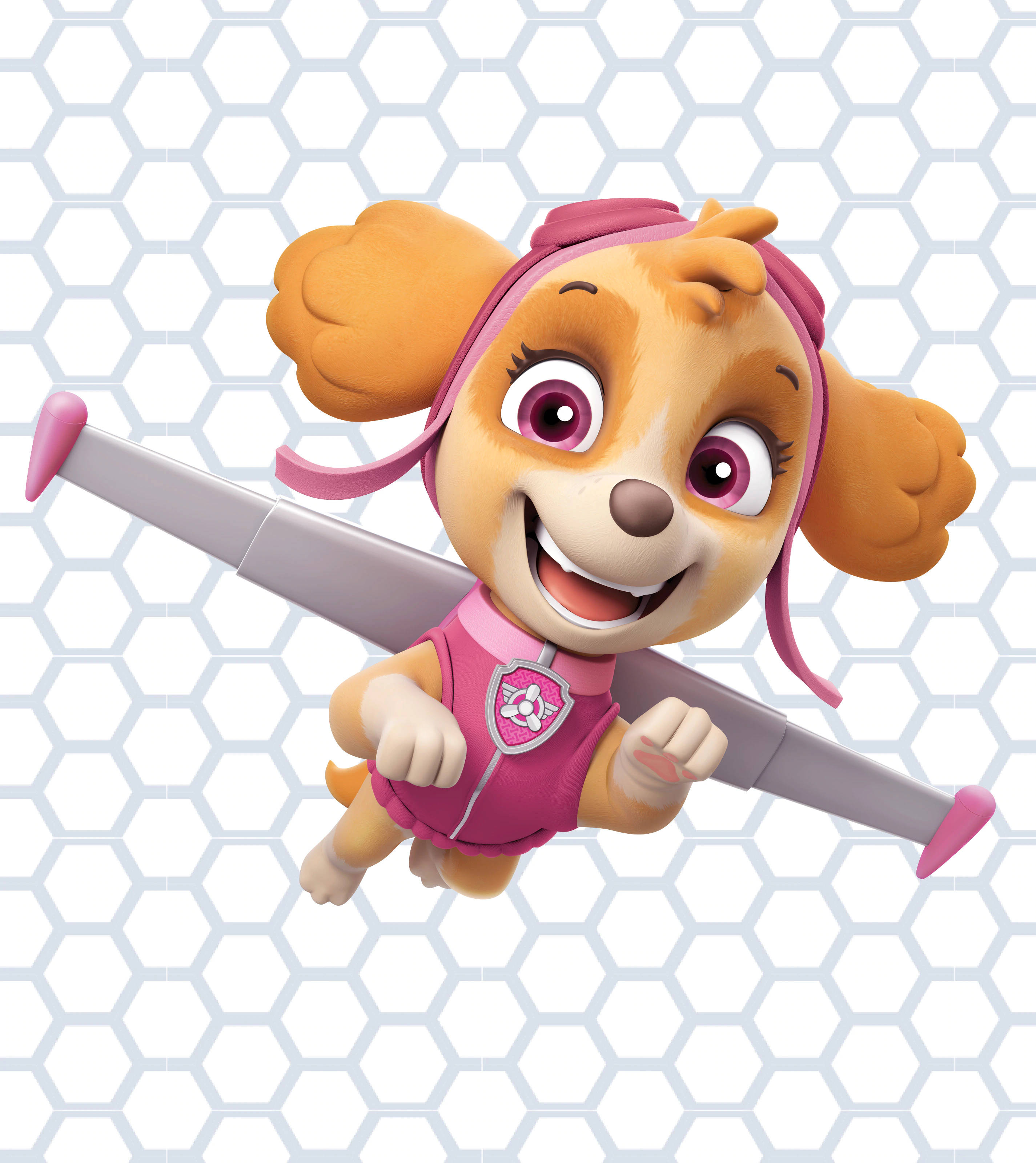 Paw Patrol Skye Duvar Kağıdı