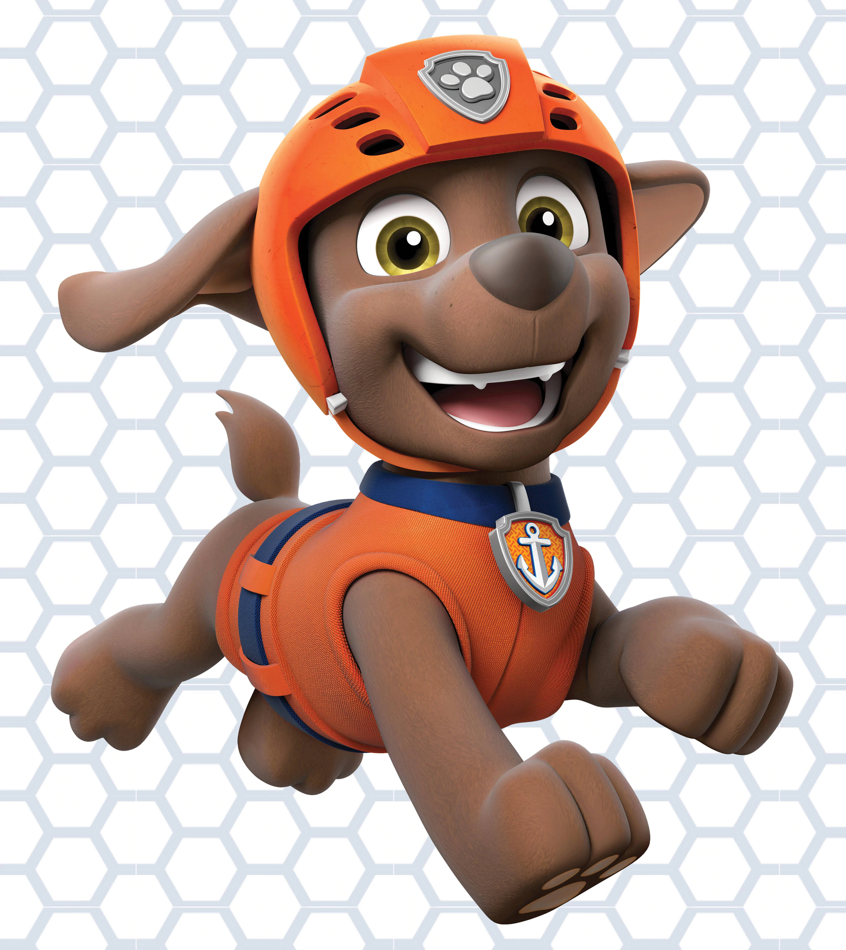 Paw Patrol Su Kurtarıcısı Zuma Duvar Kağıdı
