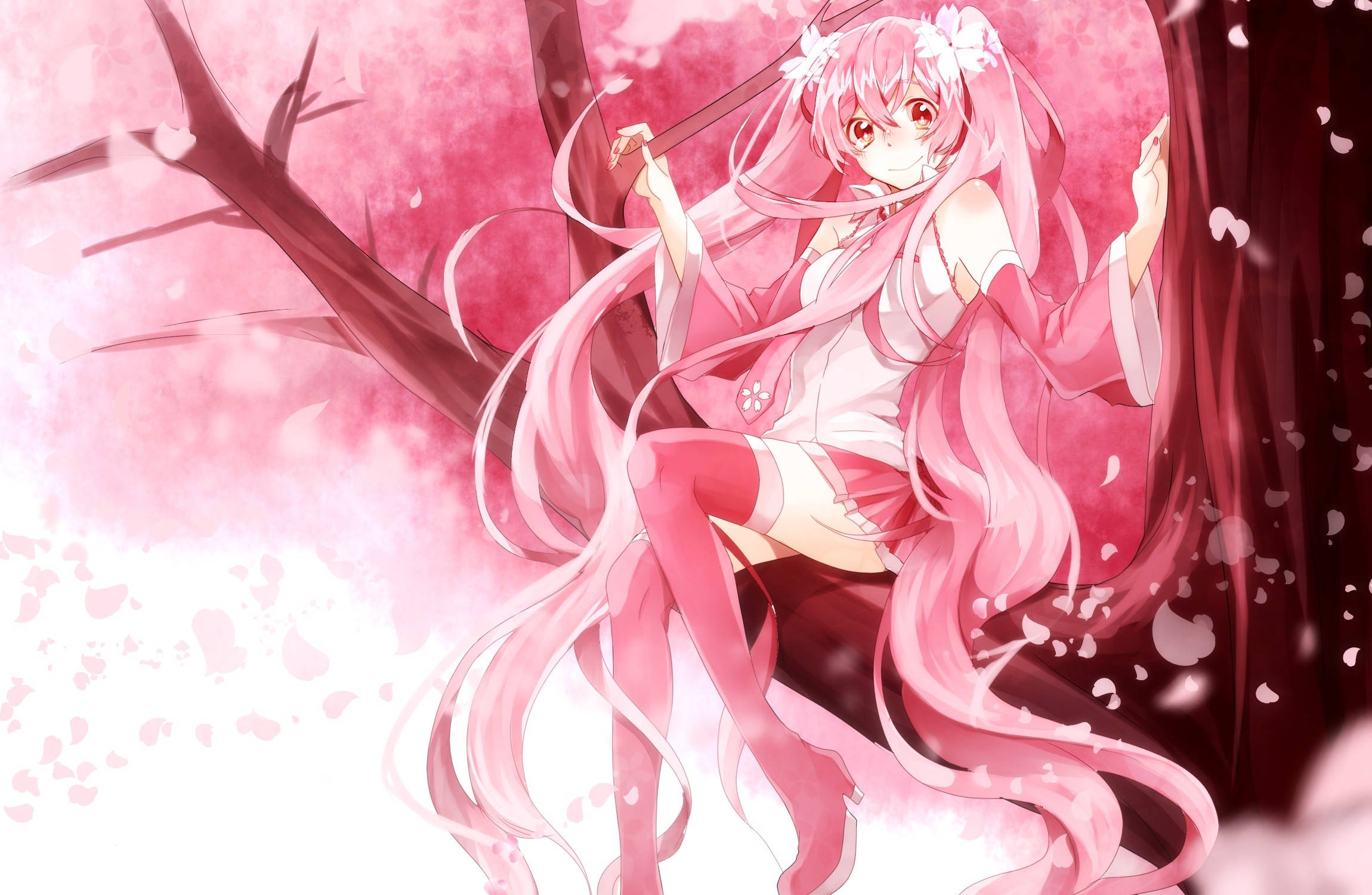 Pembe Anime Estetiği Sakura Duvar Kağıdı