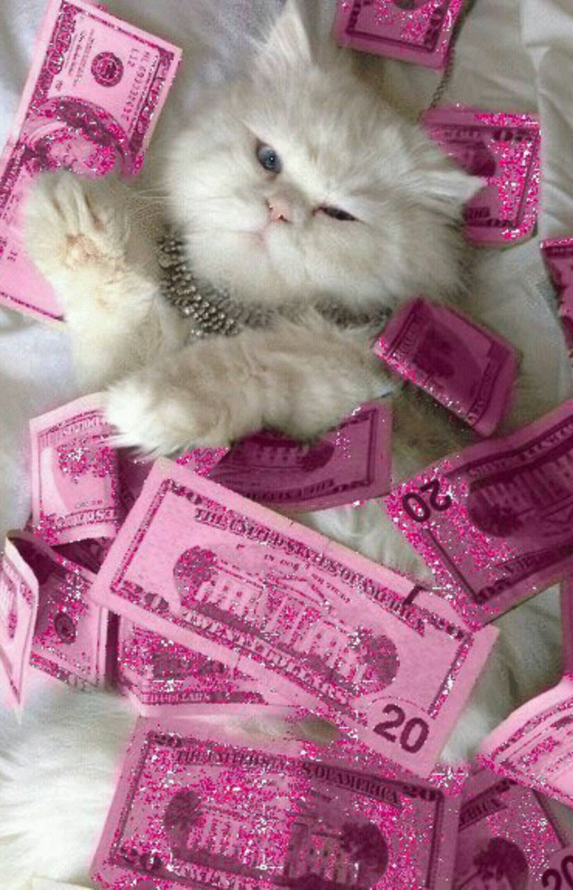 Pembe Estetik Para Arka Planı Kedi Duvar Kağıdı