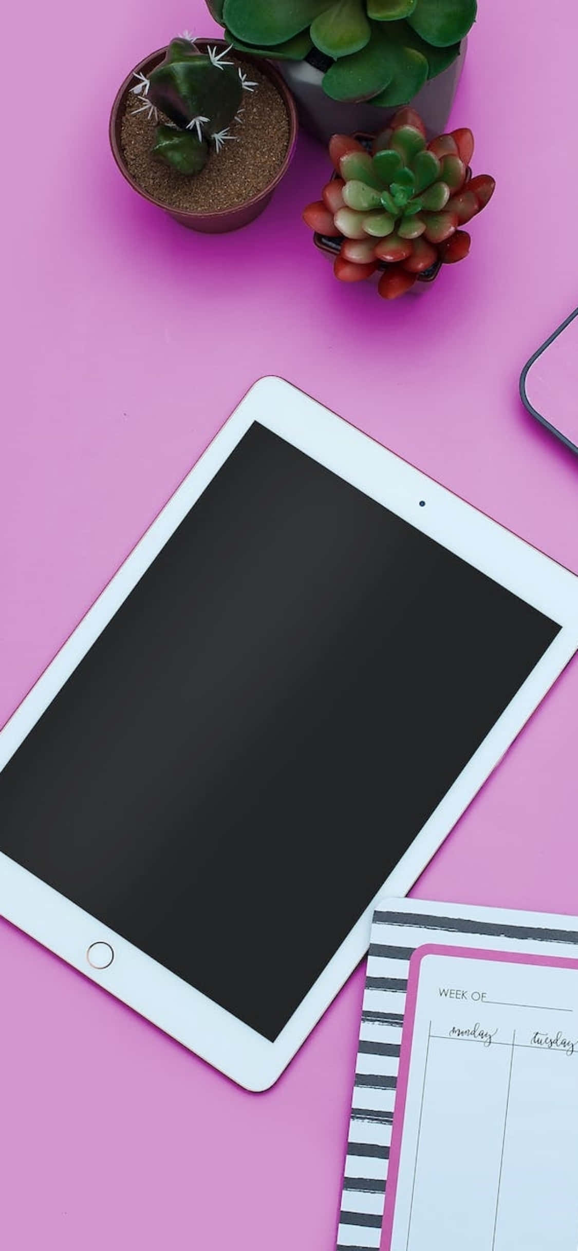 Pembe Masada iPad ile iPhone X Duvar Kağıdı