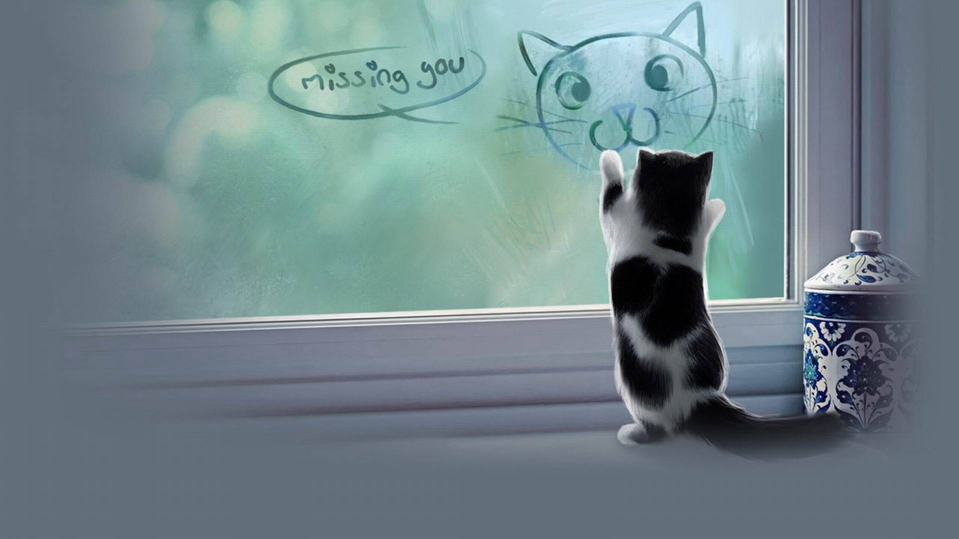 Pencerede Estetik Kedi Duvar Kağıdı