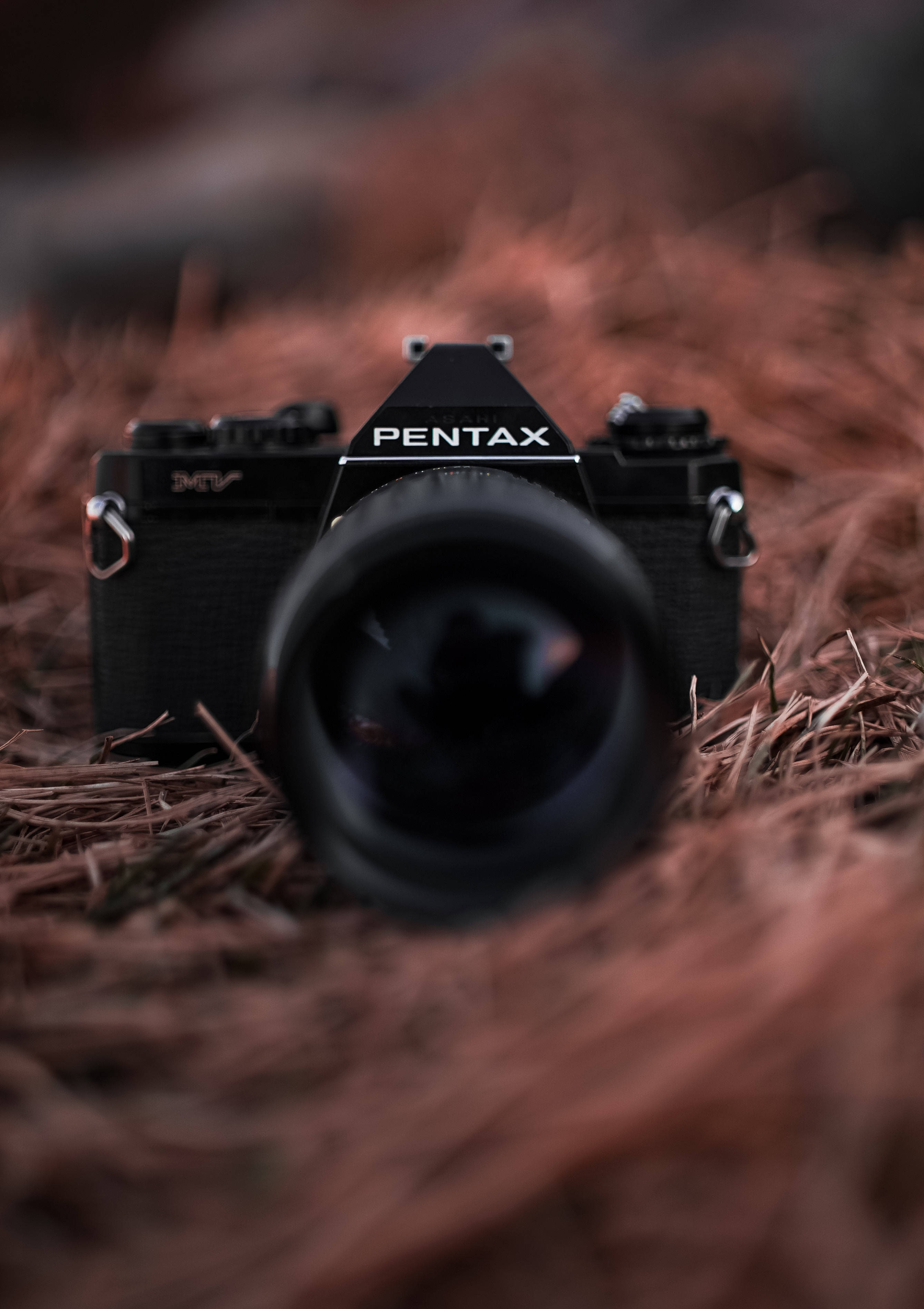 Pentax Kamera ile Hayatın Güzelliğini Yakalayın Duvar Kağıdı