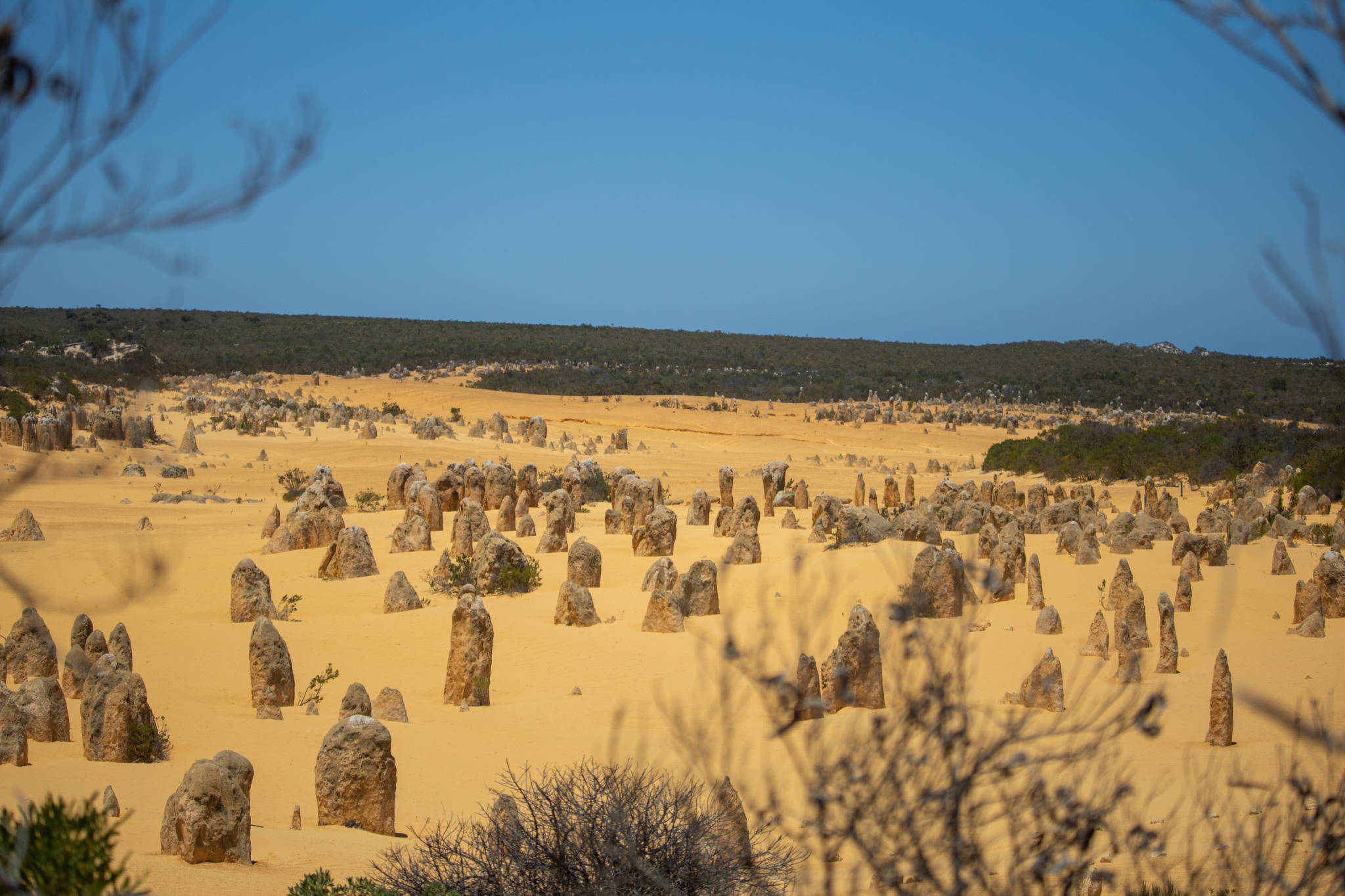 Perth Yanchep Ulusal Parkı Duvar Kağıdı