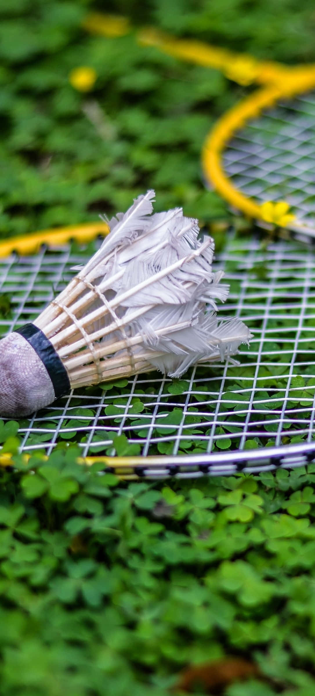 Yeşil Bitki Yaprakları Pixel 3 Badminton Duvar Kağıdı