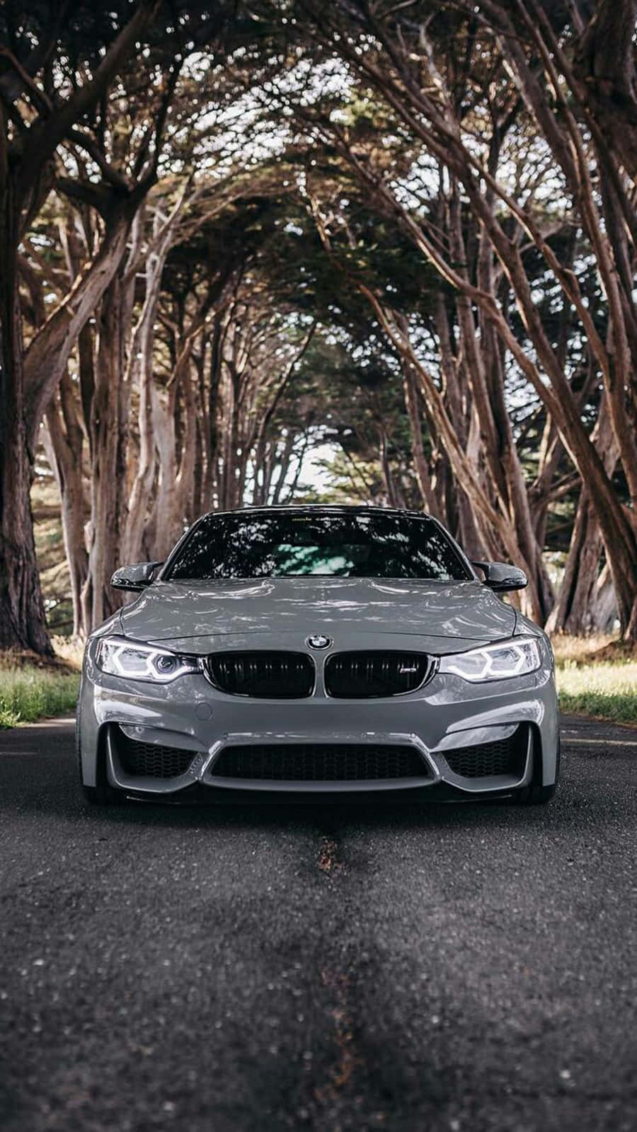 Pixel 3 BMW M4 Silverstone Metallic II Arka Plan Duvar Kağıdı