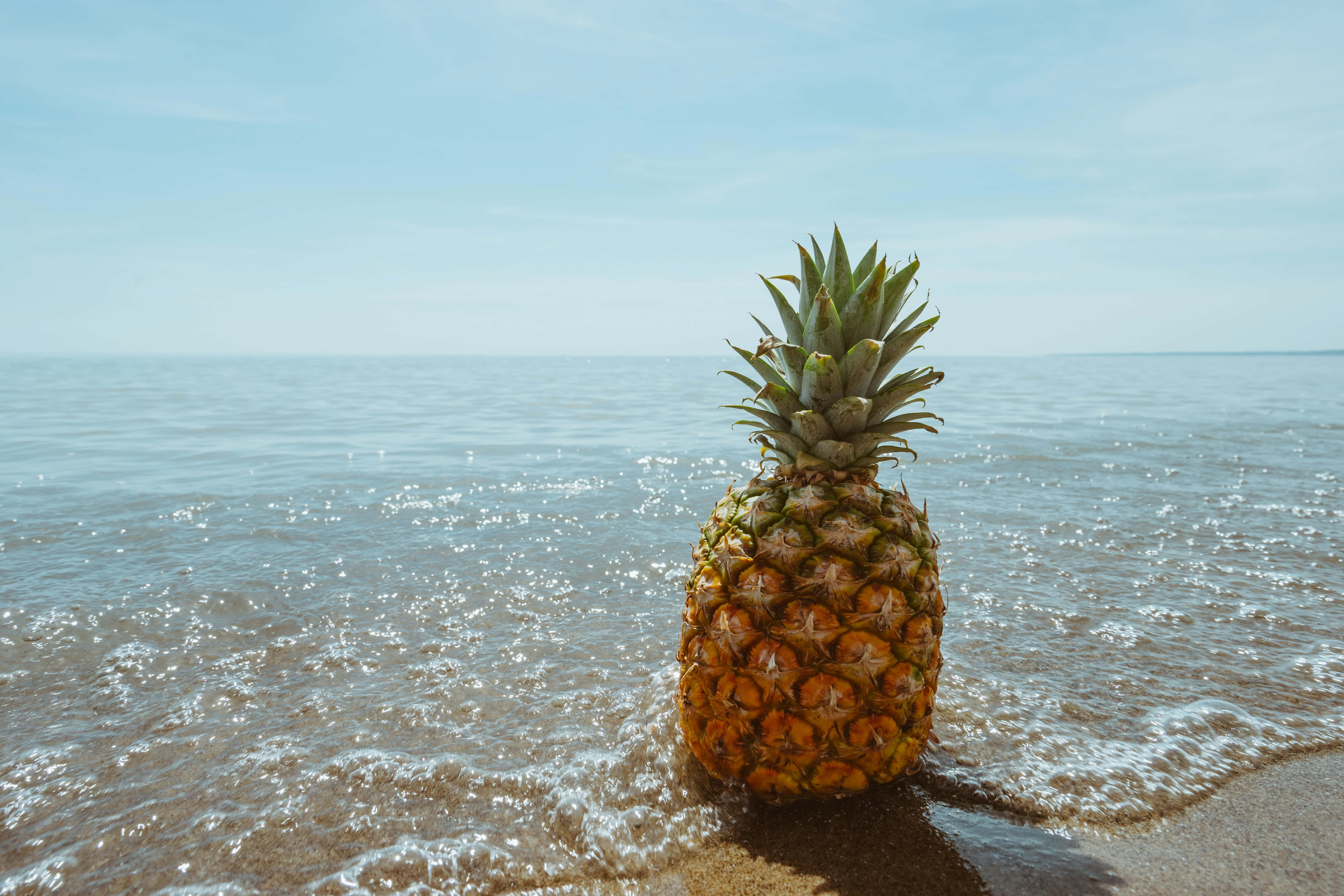 plajda ananas Duvar Kağıdı