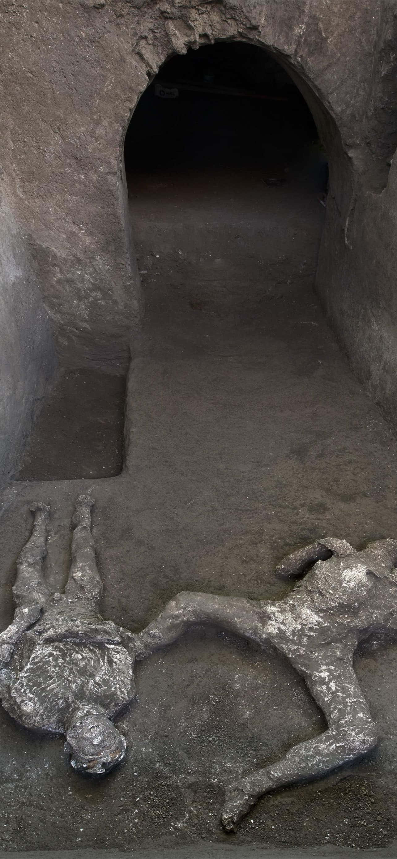 Pompeii'de Ortaya Çıkarılan İnsan Bedenleri Duvar Kağıdı