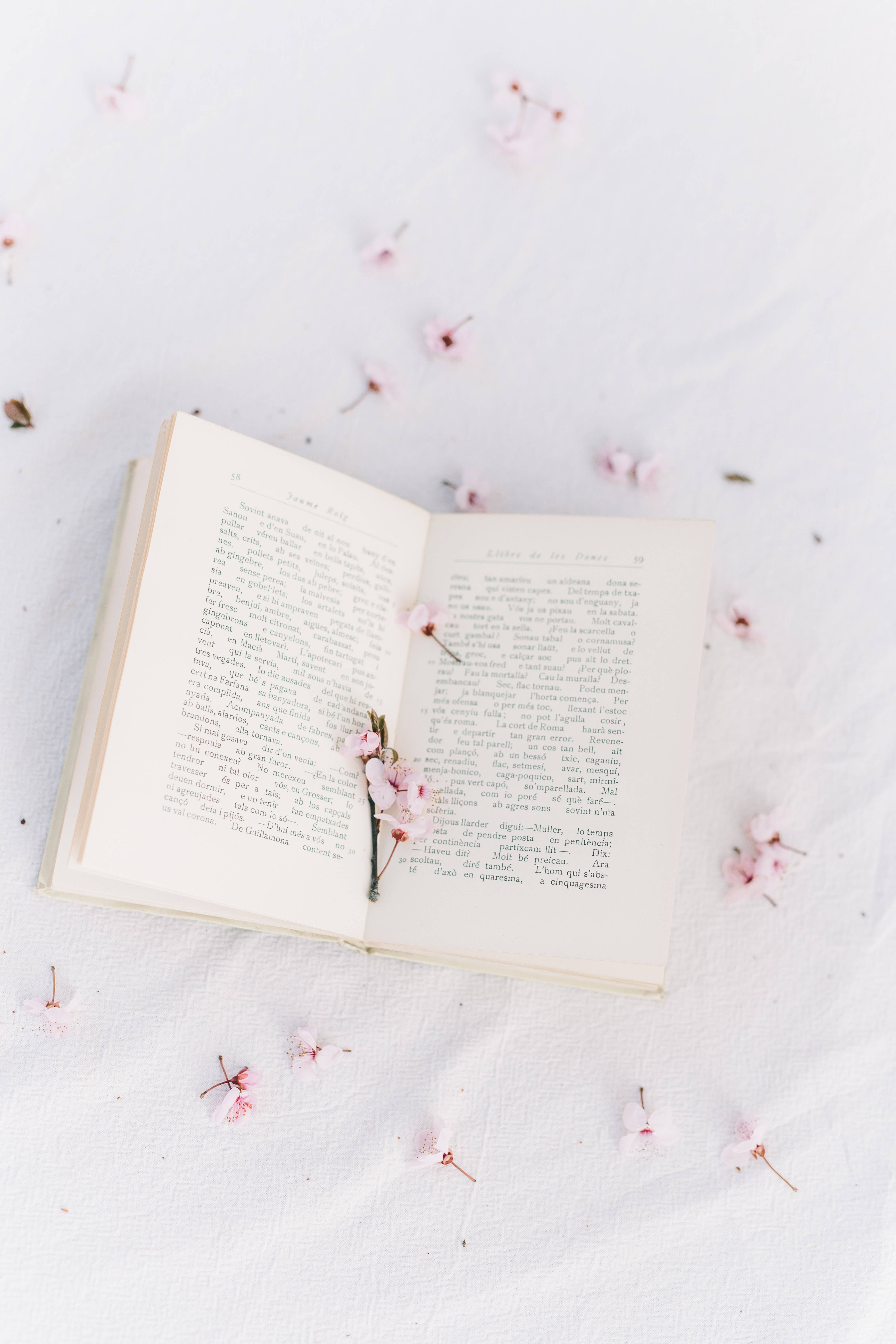 Prep Atölyesi Sakura Kitabı Duvar Kağıdı