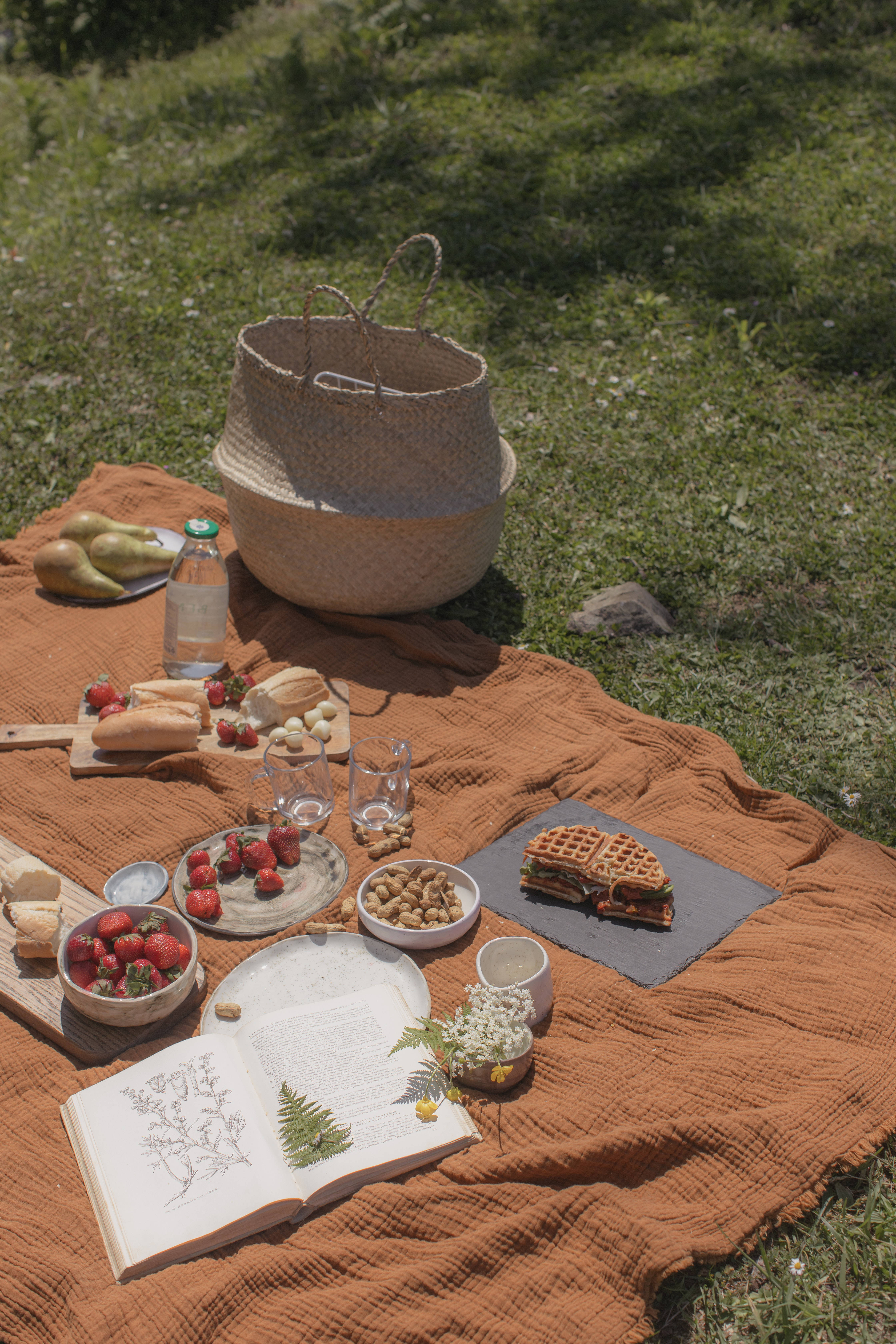 Preppy Estetiği Piknik Duvar Kağıdı