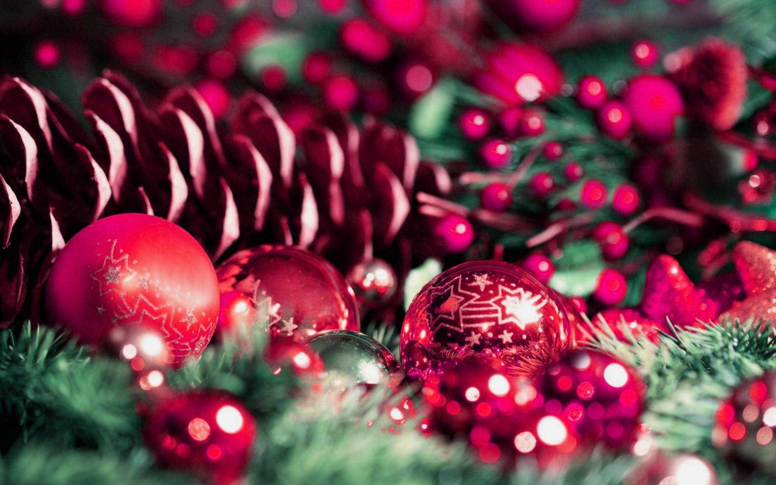 Preppy Noel Süsü Yakın Çekim Duvar Kağıdı
