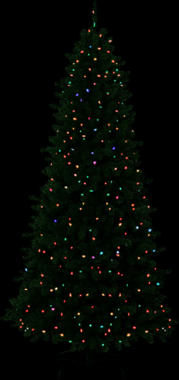 Pırıltılı Noel Ağacı Işıkları Duvar Kağıdı