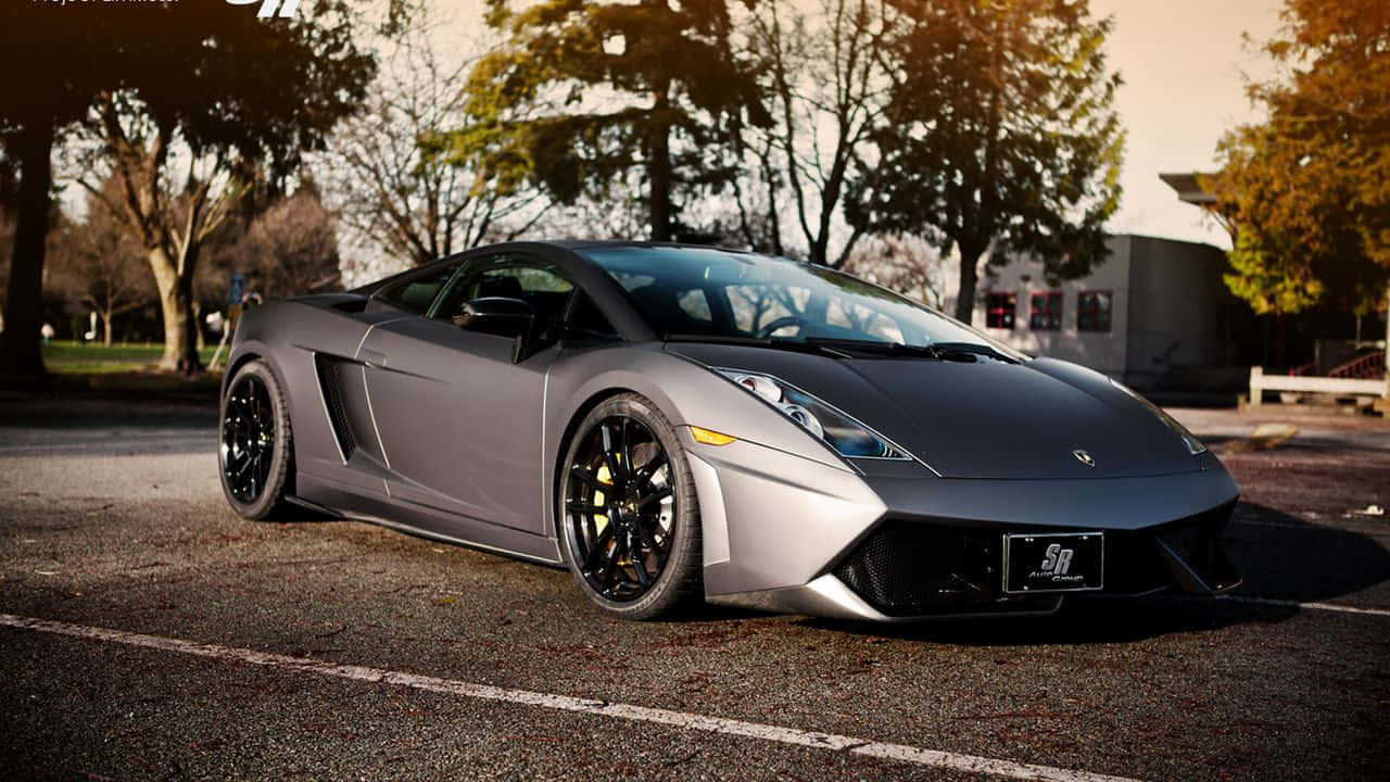 Project Cars oyununun yüksek hızlı aksiyonuna bir bakış Duvar Kağıdı