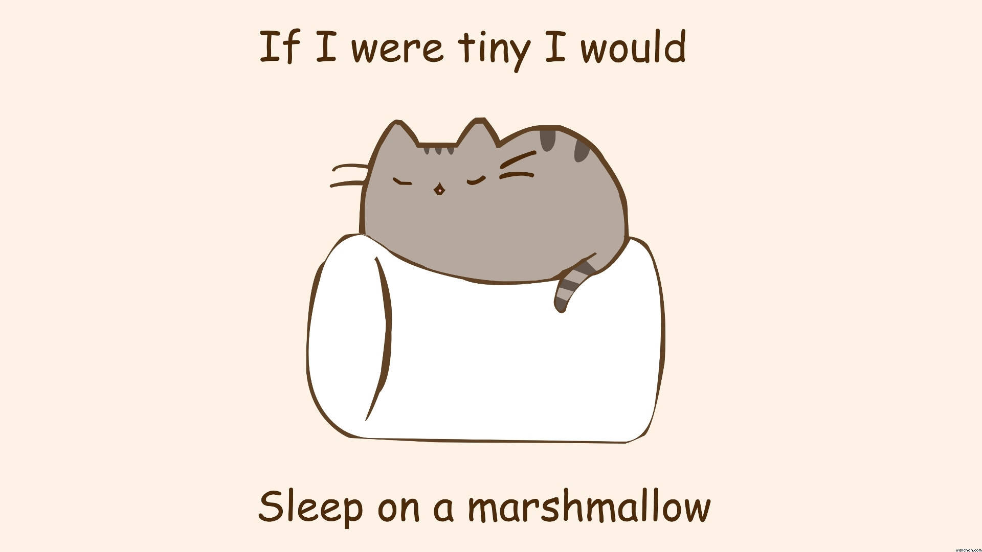 Pusheen Marshmallow Üzerinde Uyuyor Duvar Kağıdı