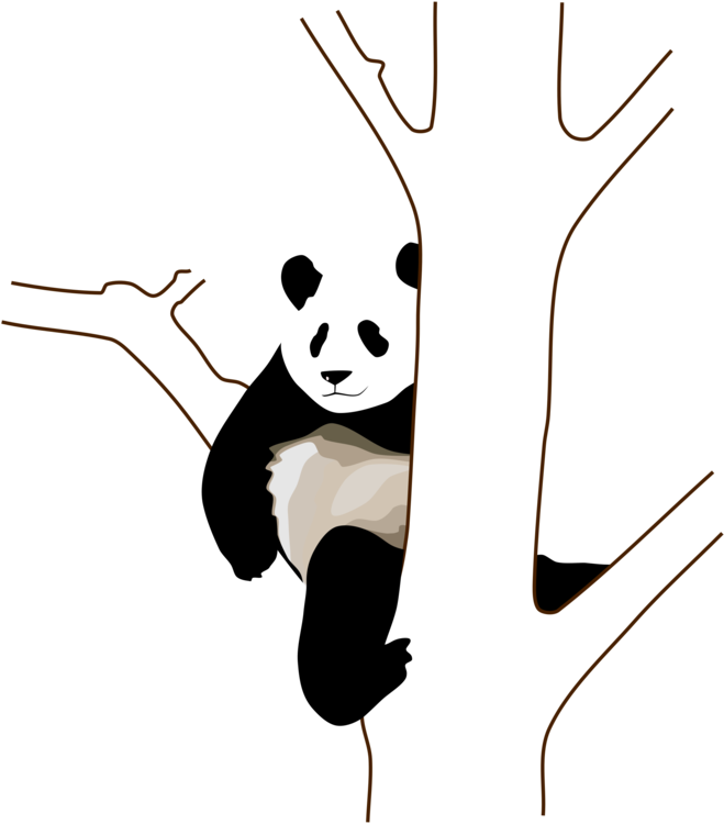 Rahat Bir Şekilde Ağaca Tutunan Panda Duvar Kağıdı