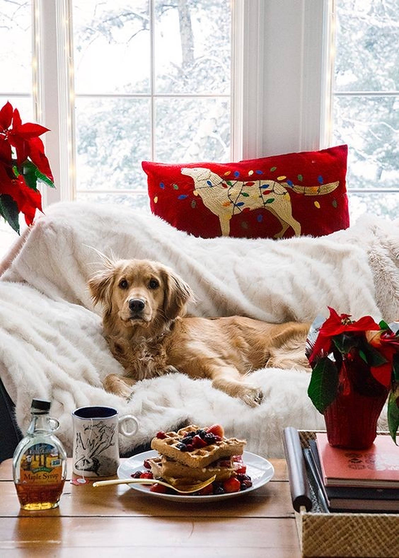 Rahatlatan Noel Estetiği Kanepede Köpek Duvar Kağıdı
