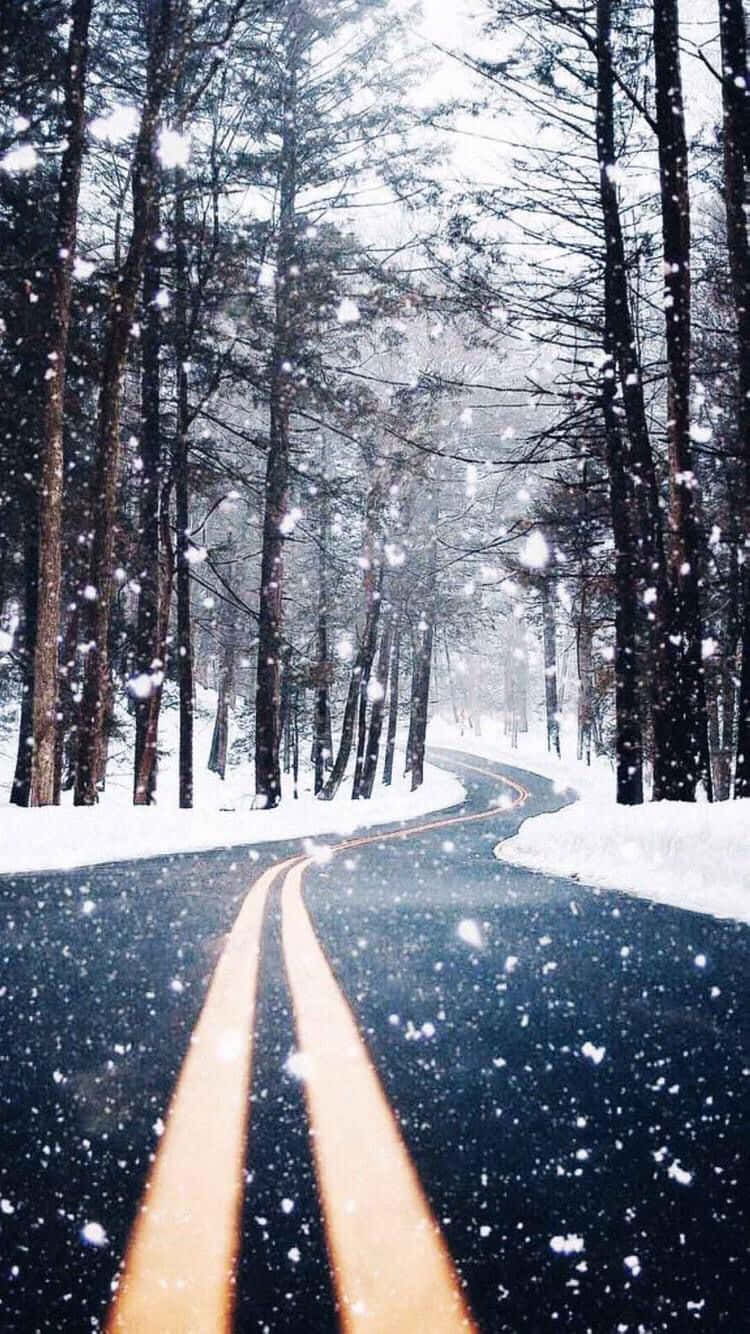 Rahatlatici Kis Yolu Tumblr Duvar Kağıdı