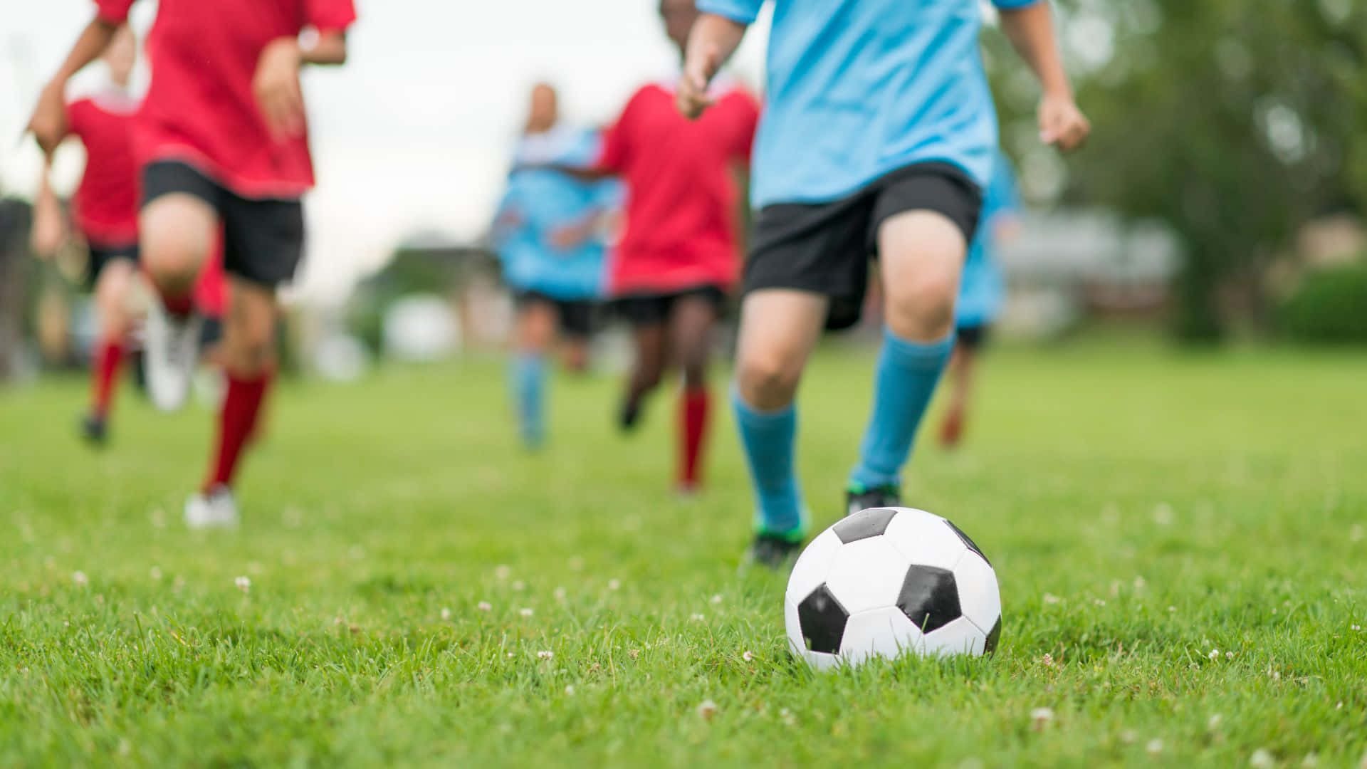 Rakibinizin yenilgisini bir futbol maçıyla kutlayın Duvar Kağıdı