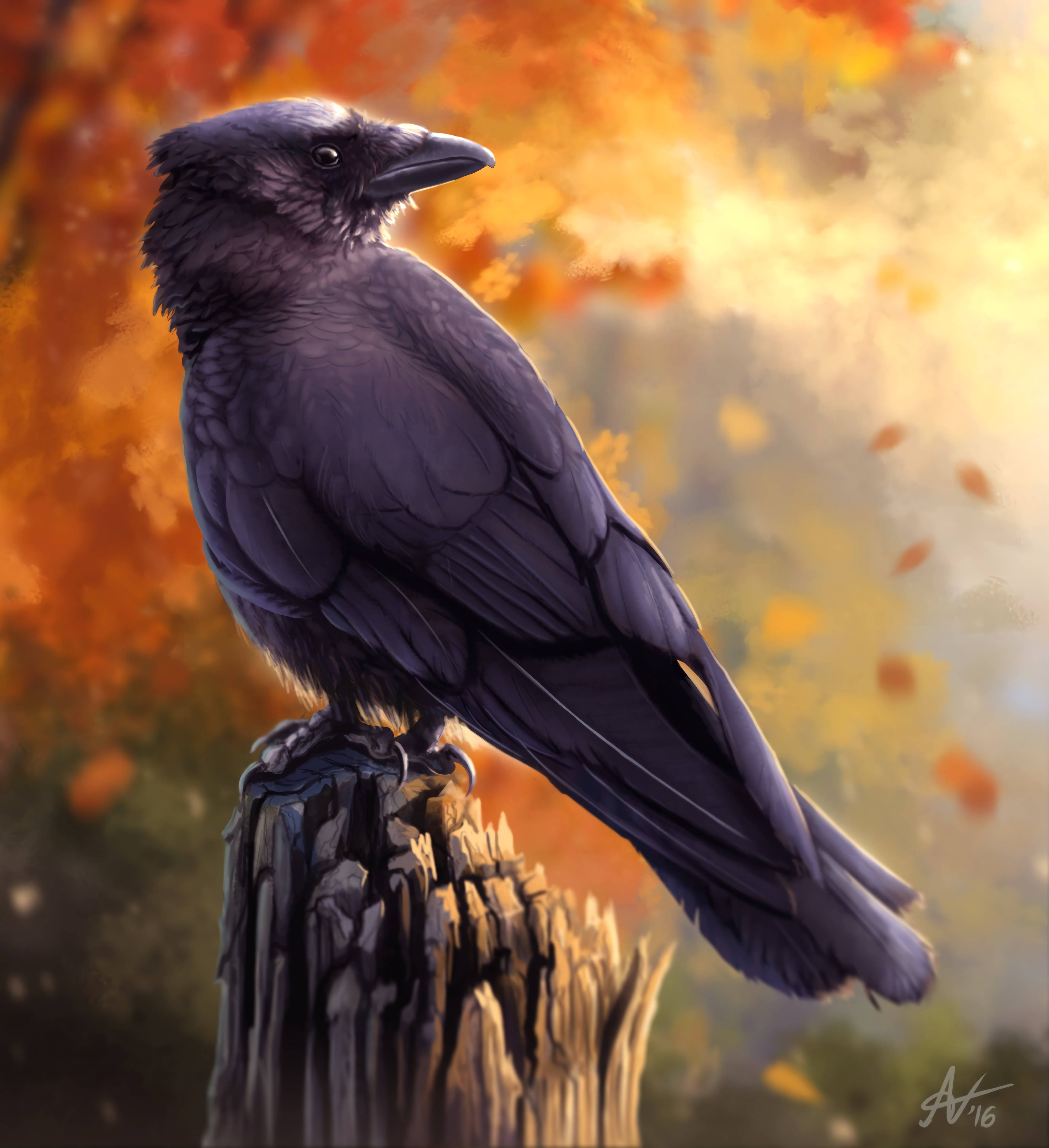Raven In Autumn HD Duvar Kağıdı