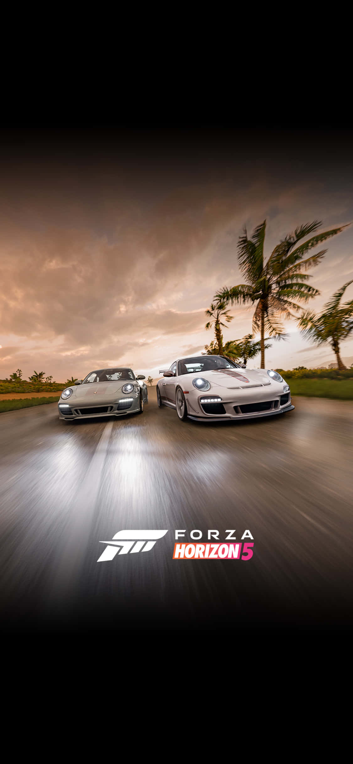 Ravensburger Porsche iPhone X Forza Motorsport 7 Arkaplanı Duvar Kağıdı