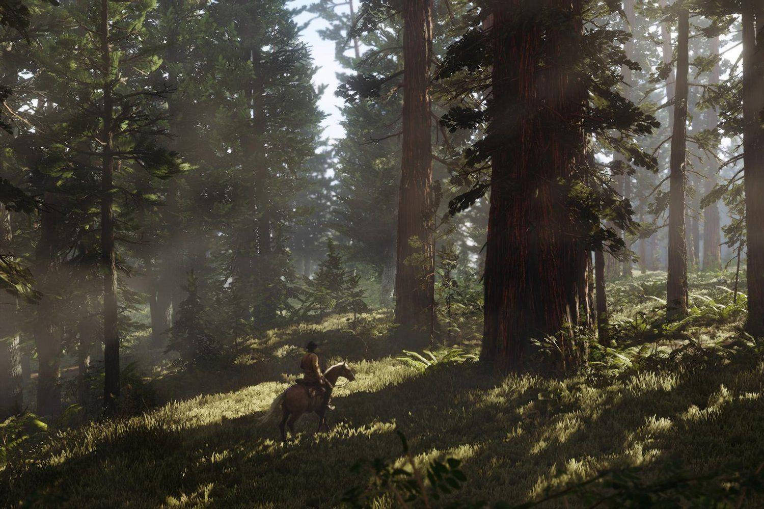 Red Dead Redemption 2 4K Orman Duvar Kağıdı