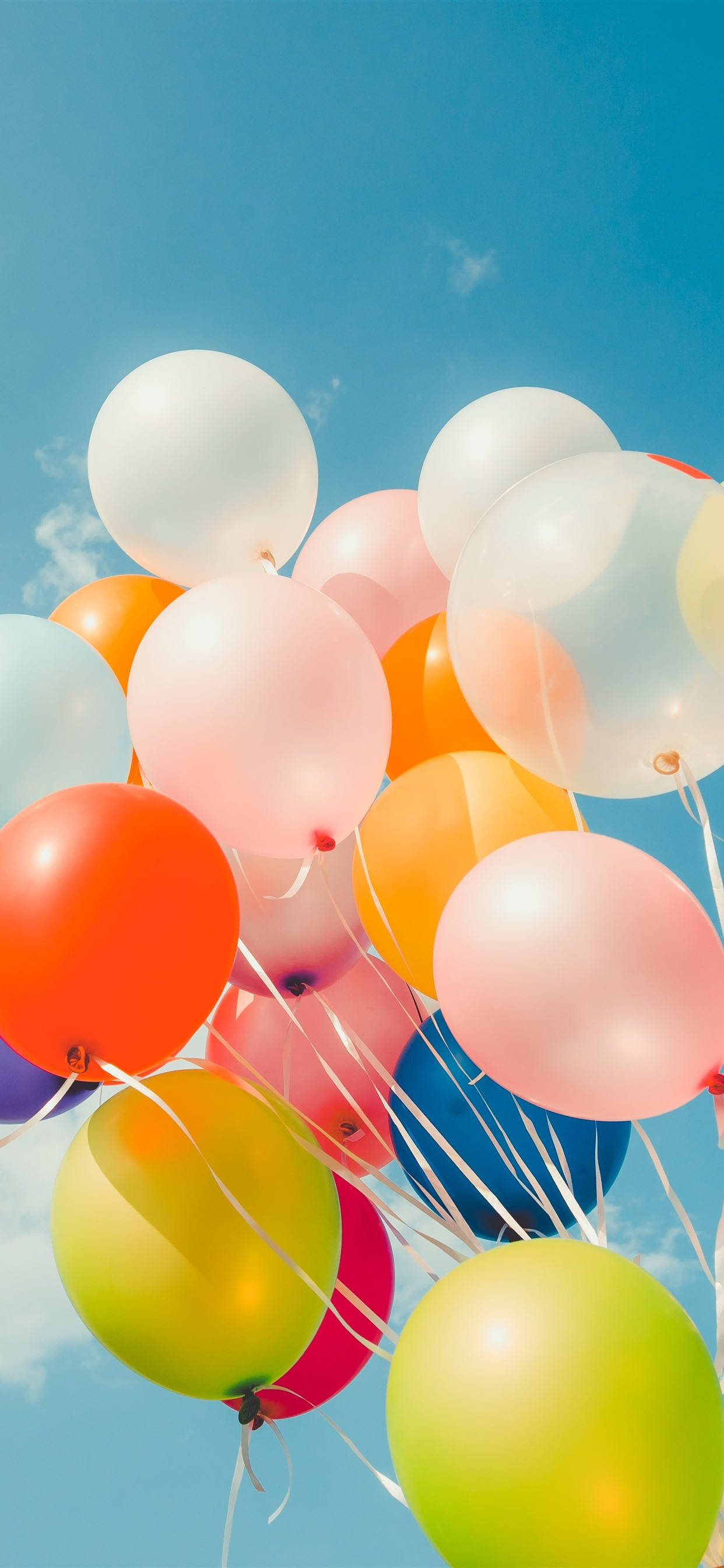 Renkli Balonlar Sevimli iPhone Duvar Kağıdı
