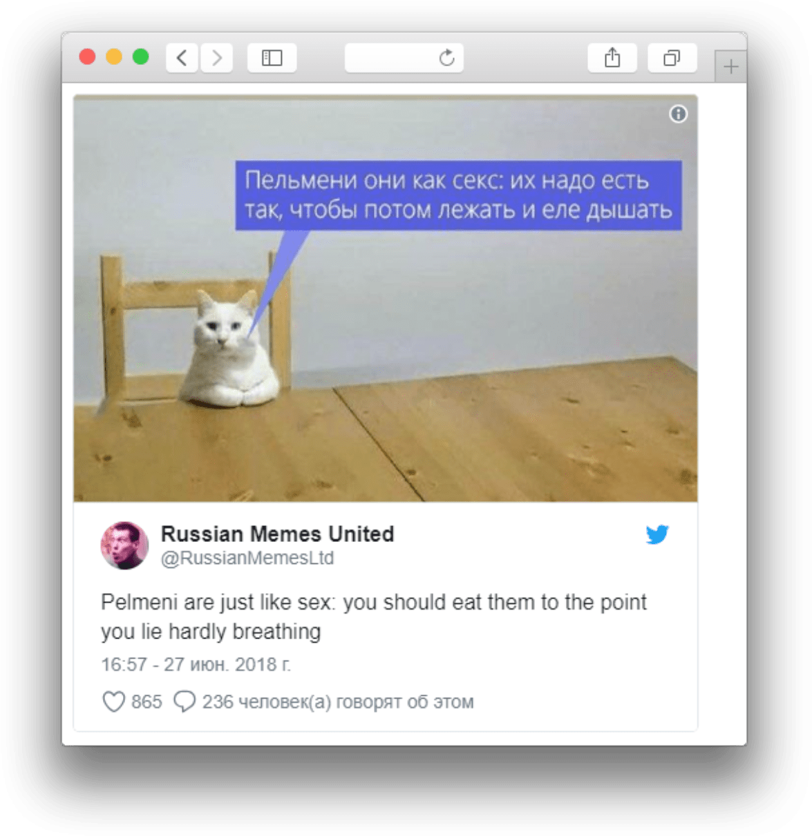 Rus Kedi Memesi Pelmeni Karşılaştırması Duvar Kağıdı