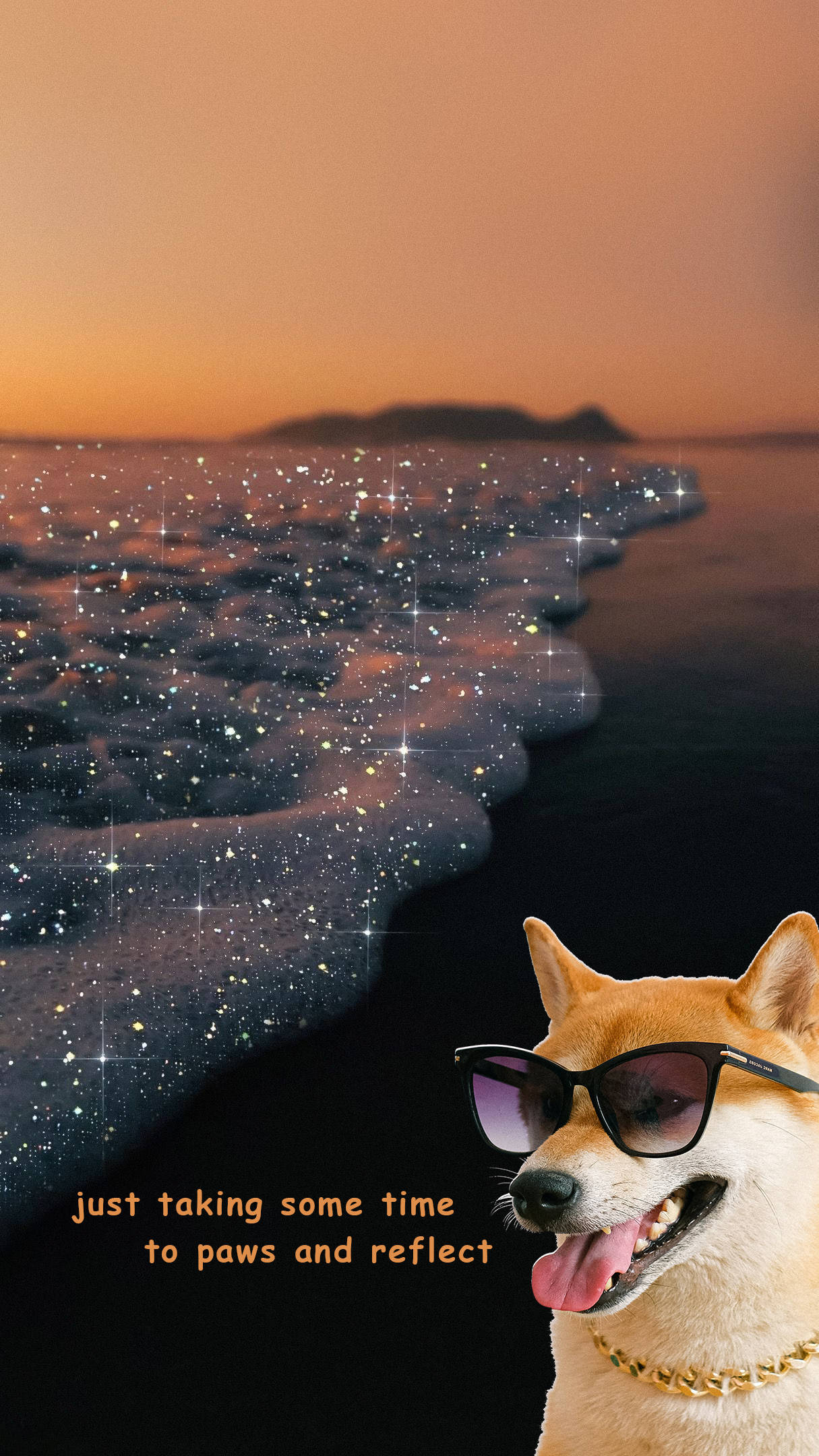 Sahilde Komik Estetik Köpek Duvar Kağıdı