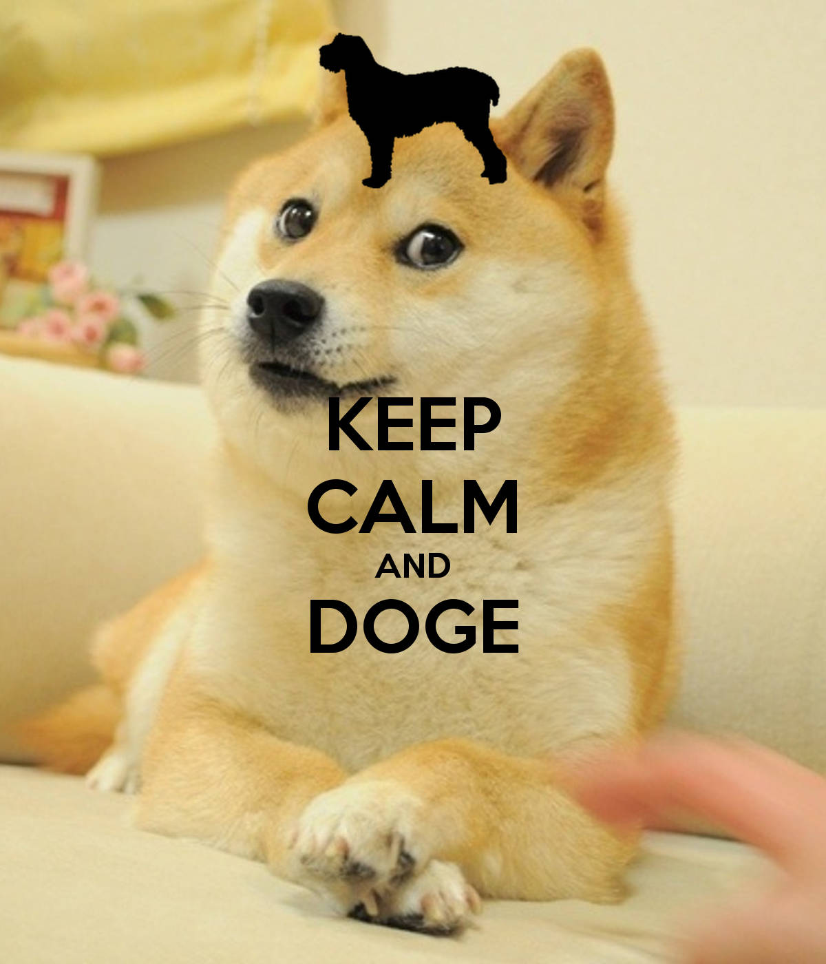Sakin Ol ve Doge'la Devam Et! Duvar Kağıdı