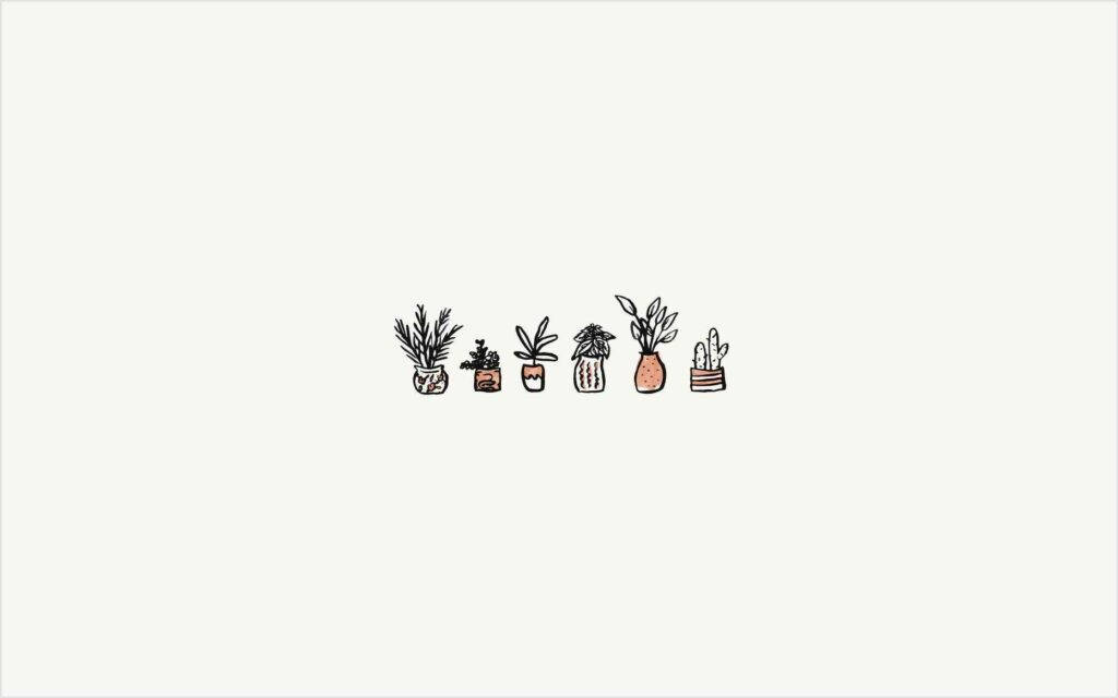 Saksı Bitkileri Grafiği Pinterest Dizüstü Bilgisayar Duvar Kağıdı