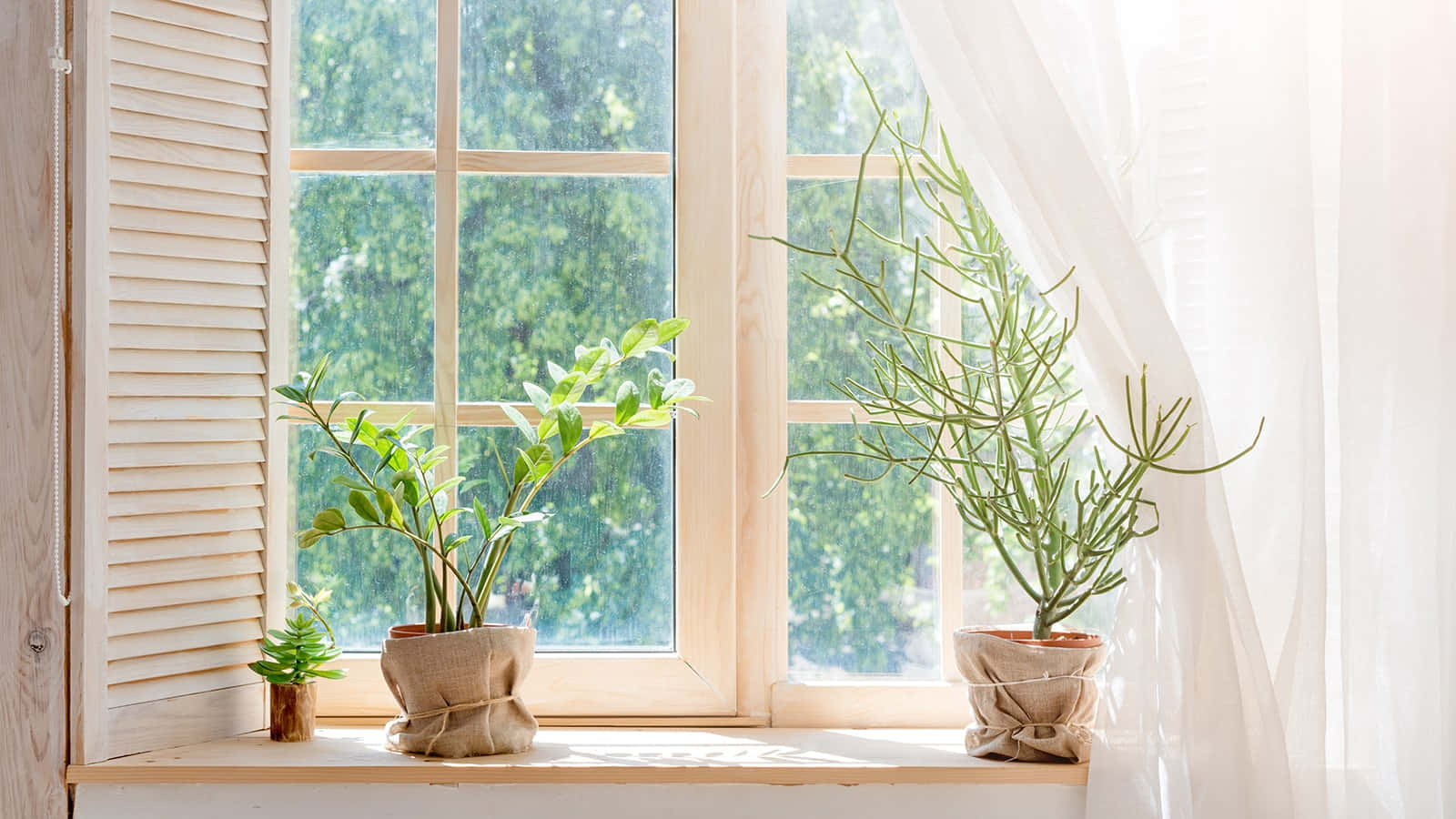 Sanal toplantılar Simple Zoom ile kolaylaştı Duvar Kağıdı