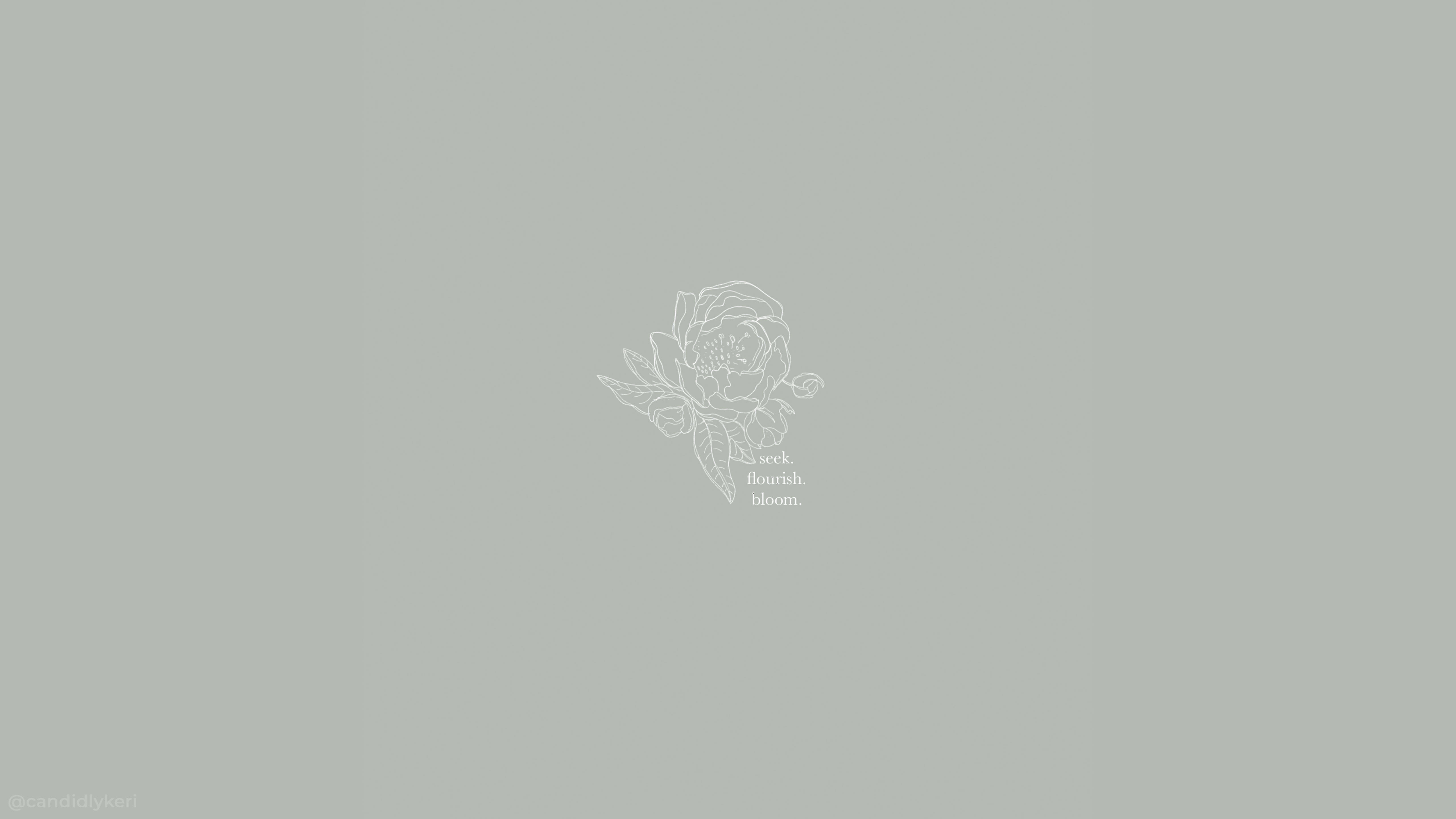Seek Flourish Bloom Estetik Mac Duvar Kağıdı